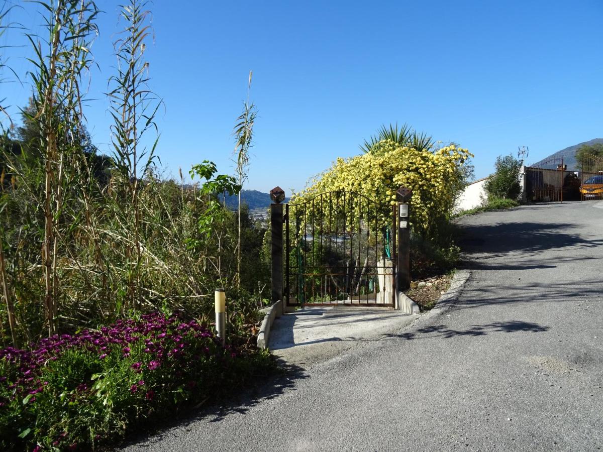 La vigne sous les pins view 4