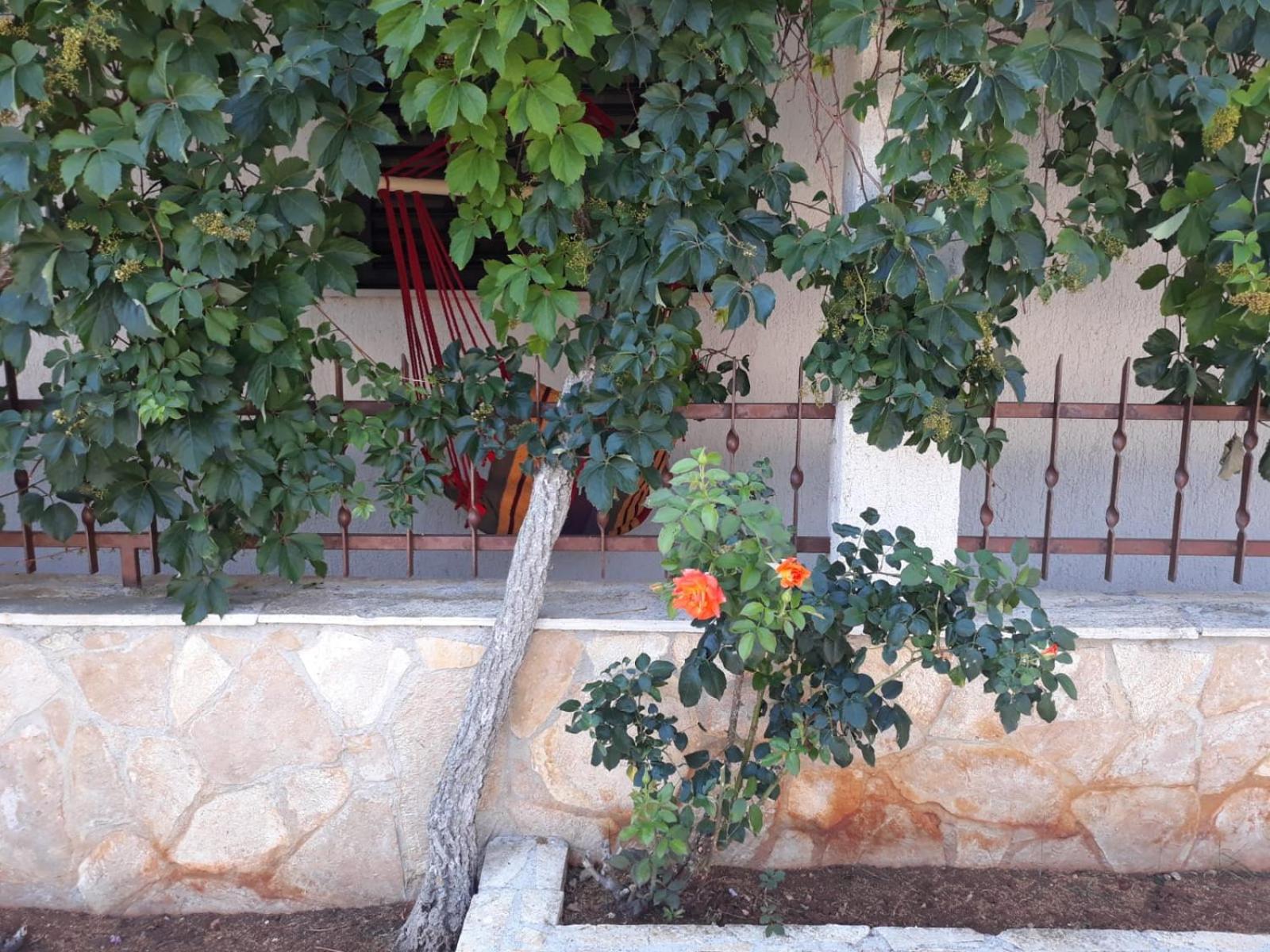 Photo 24