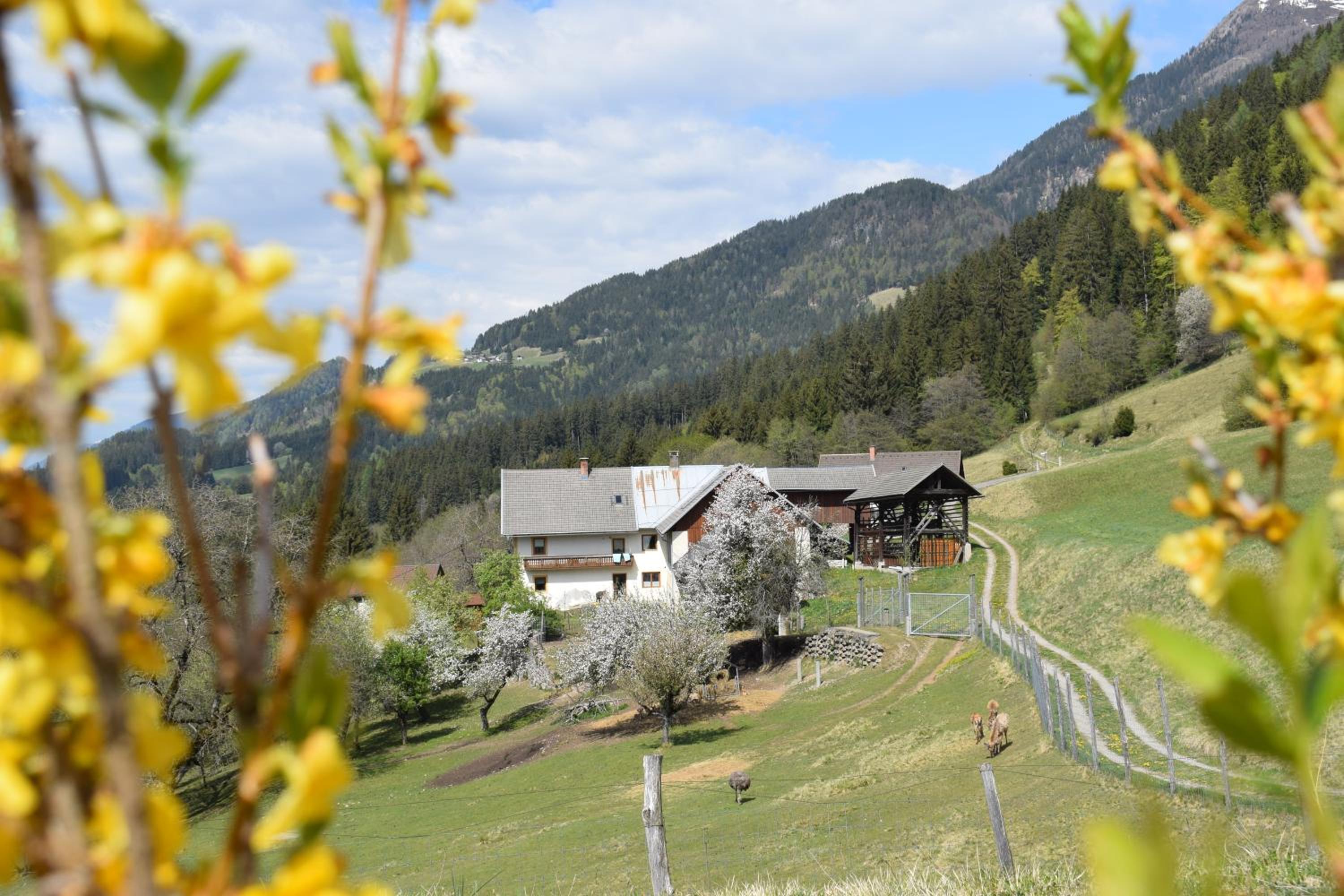 Ferienwohnung Wieserberg