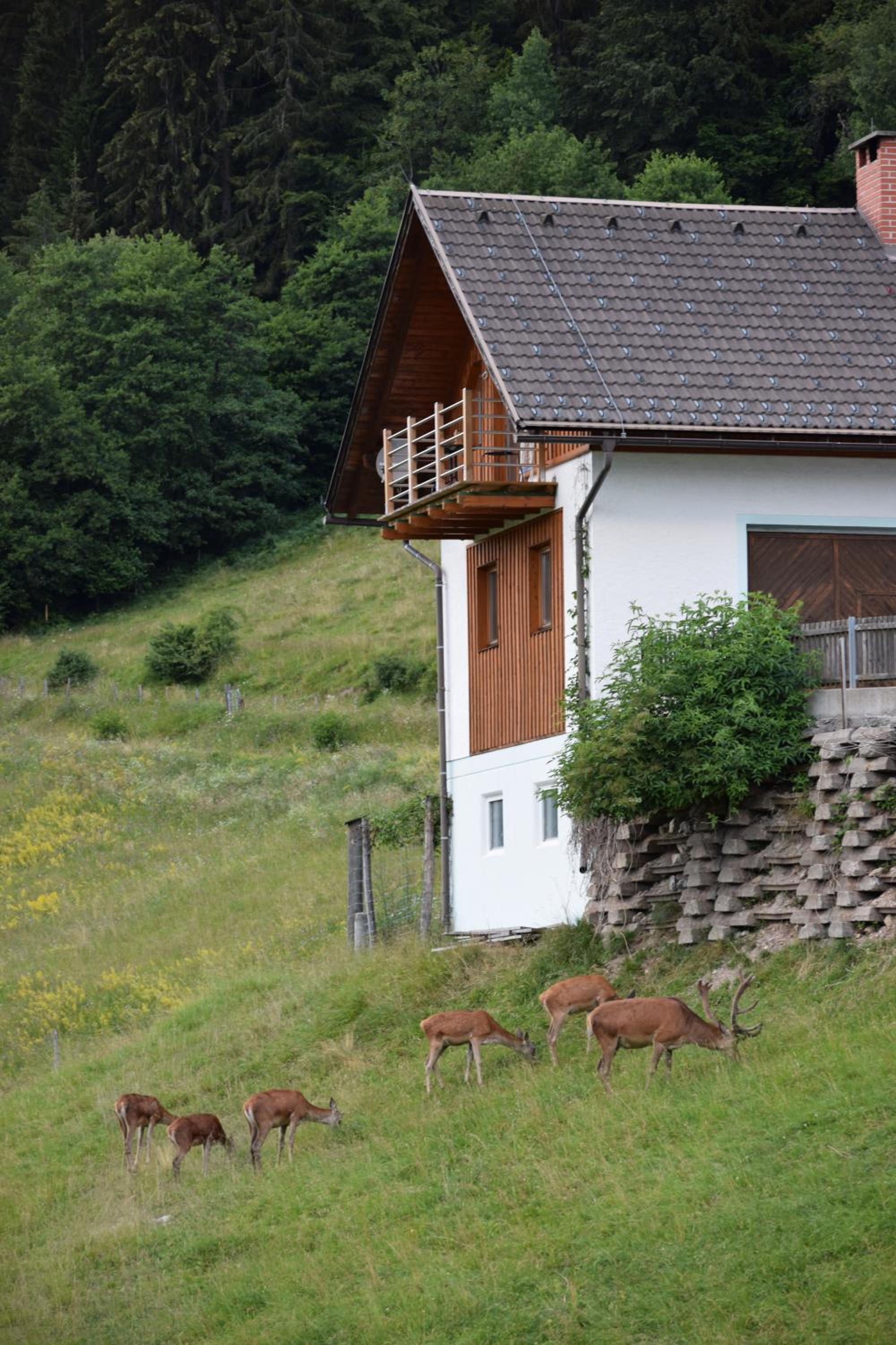 Ferienwohnung Wieserberg