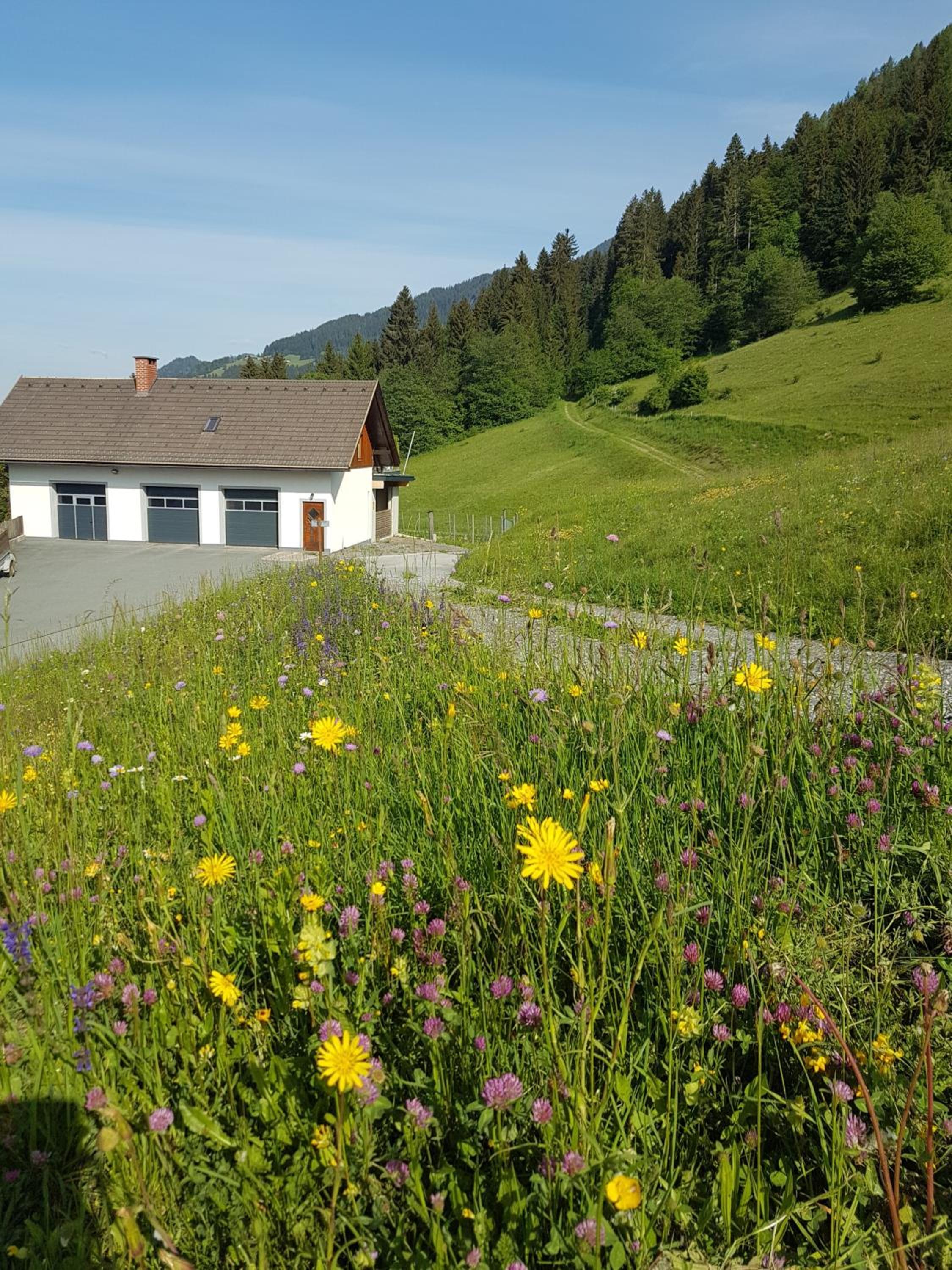 Ferienwohnung Wieserberg