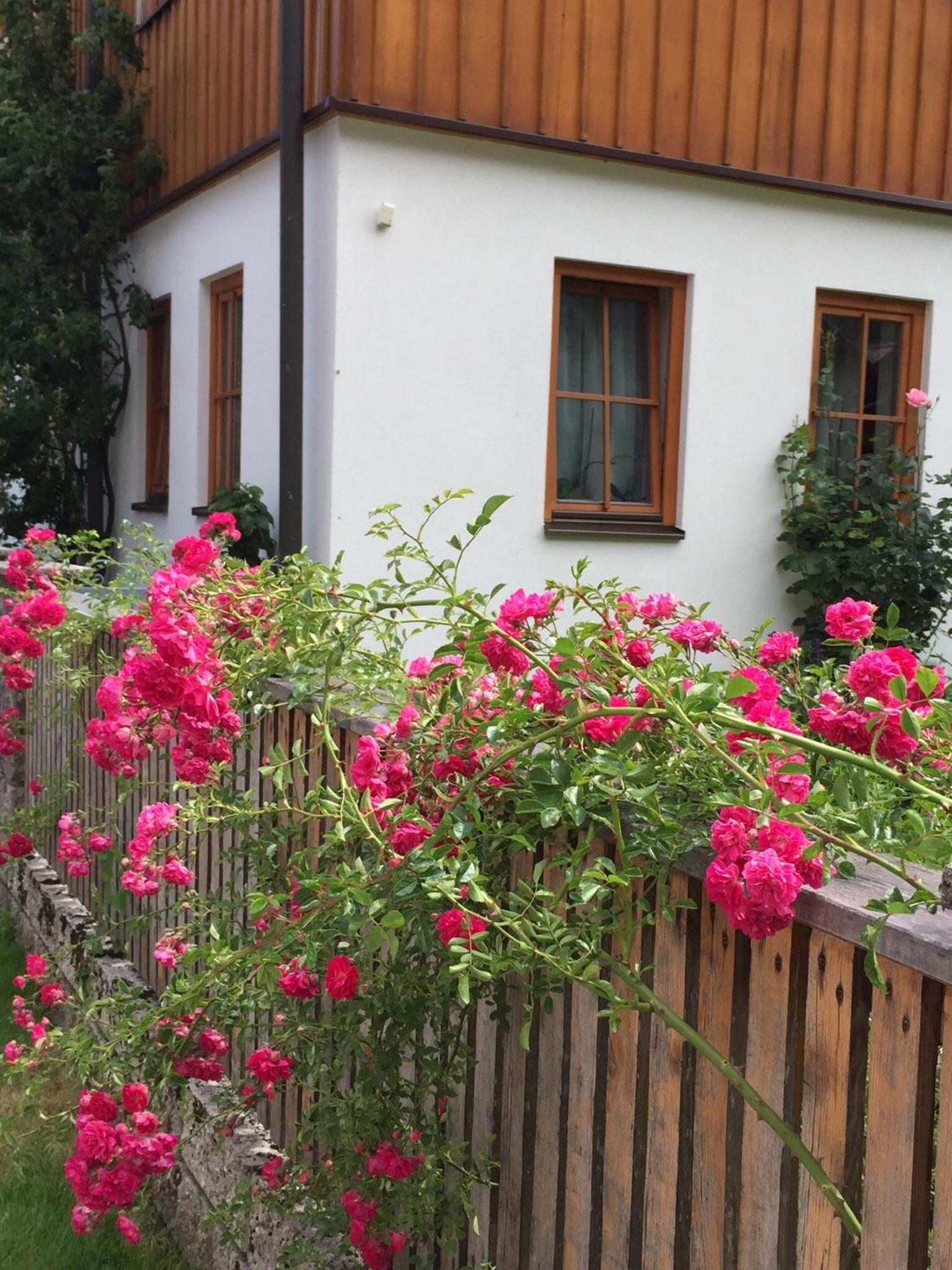 Appartement Emilia
