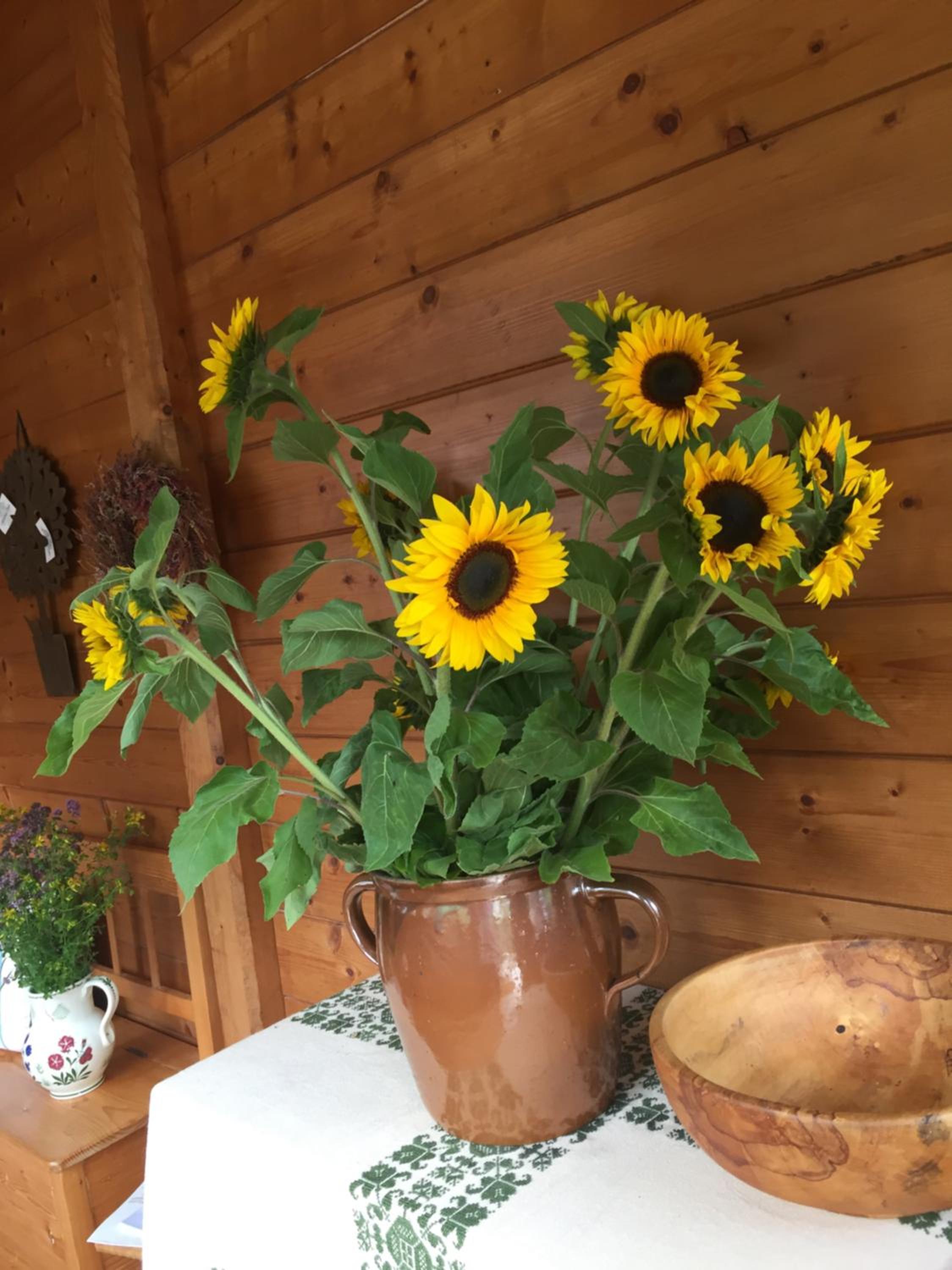 Appartement Emilia