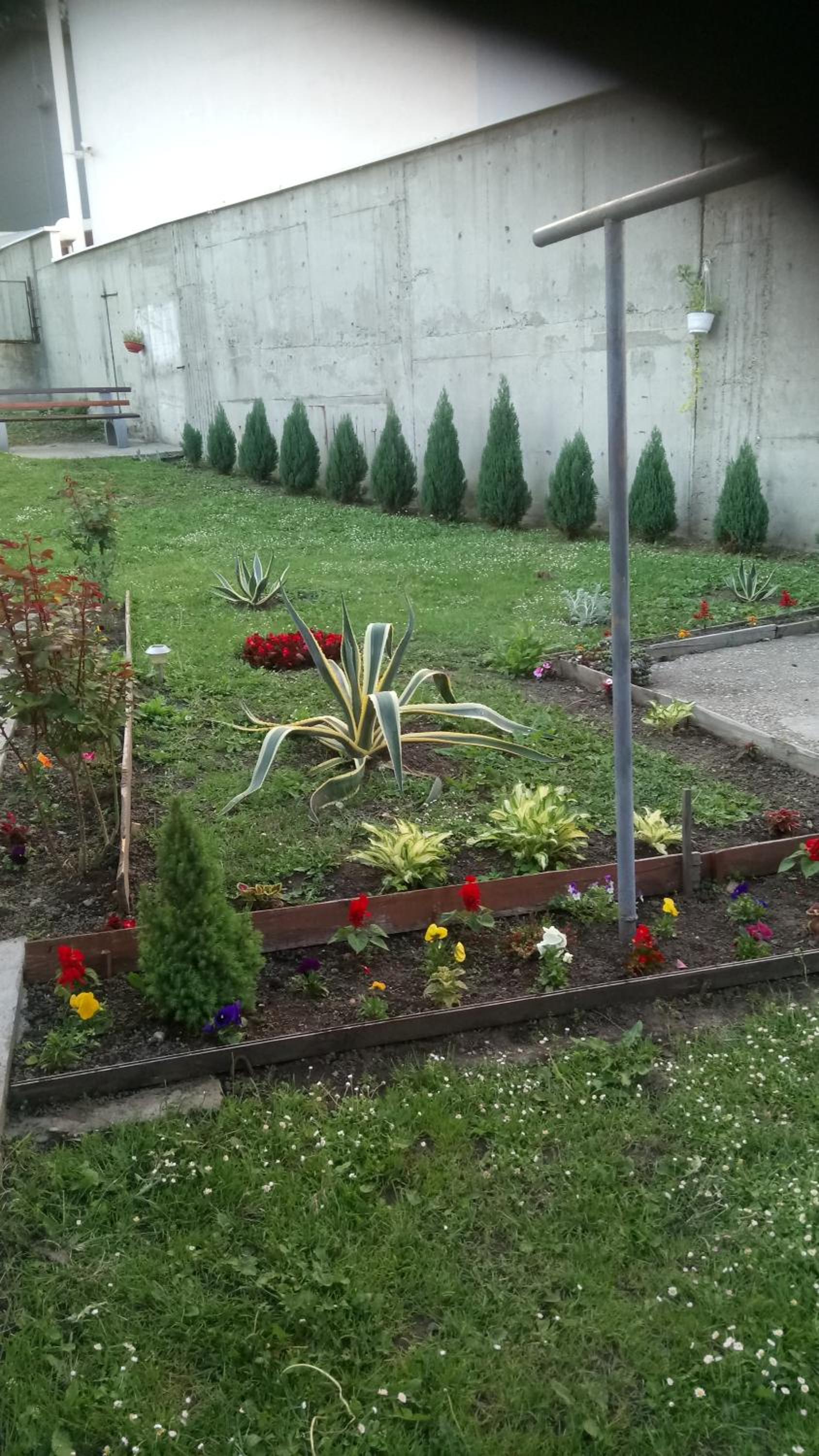 Photo 31