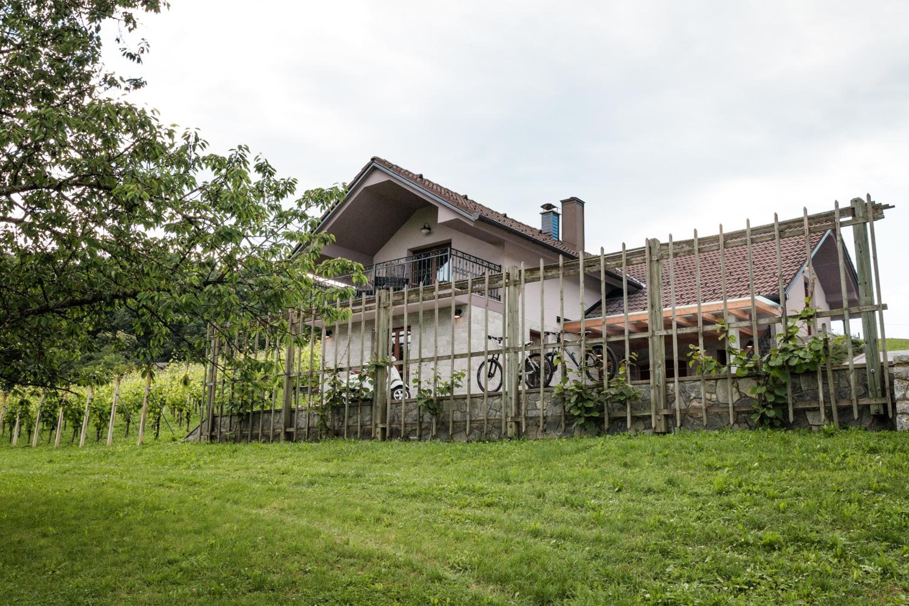 Vineyard cottage Radulja view 2