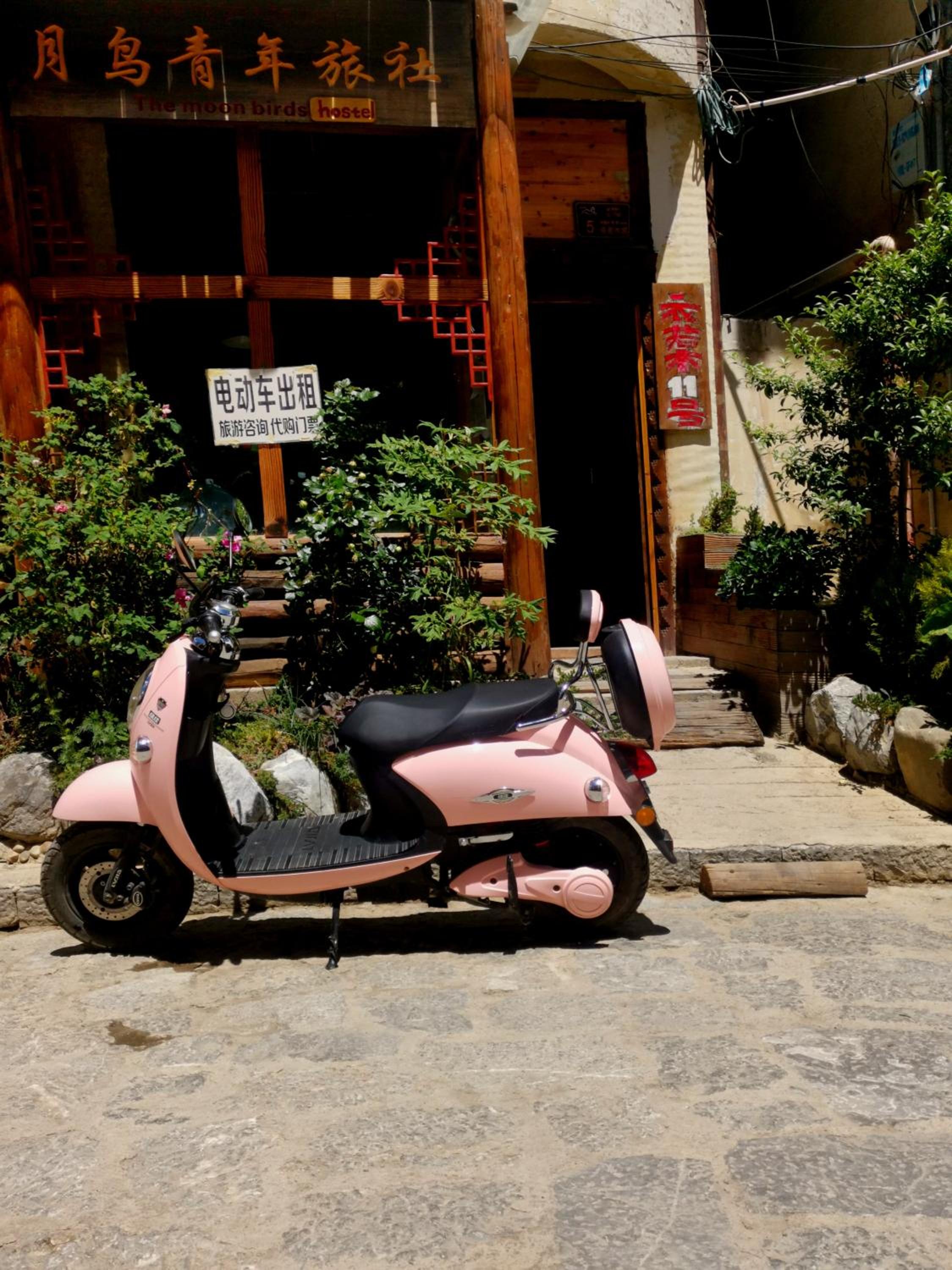 The Moon Bird Hostel view 2