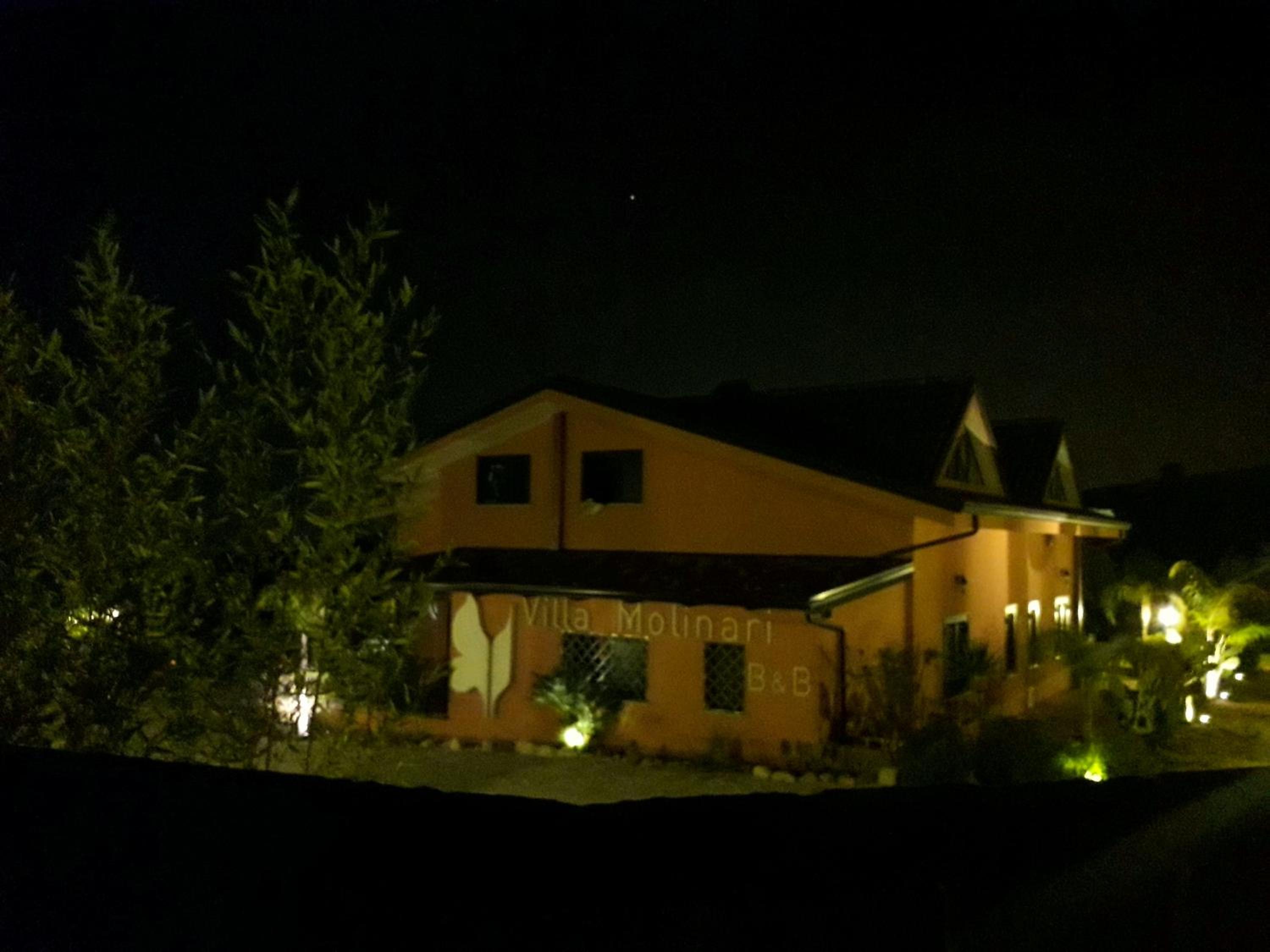 Photo 51
