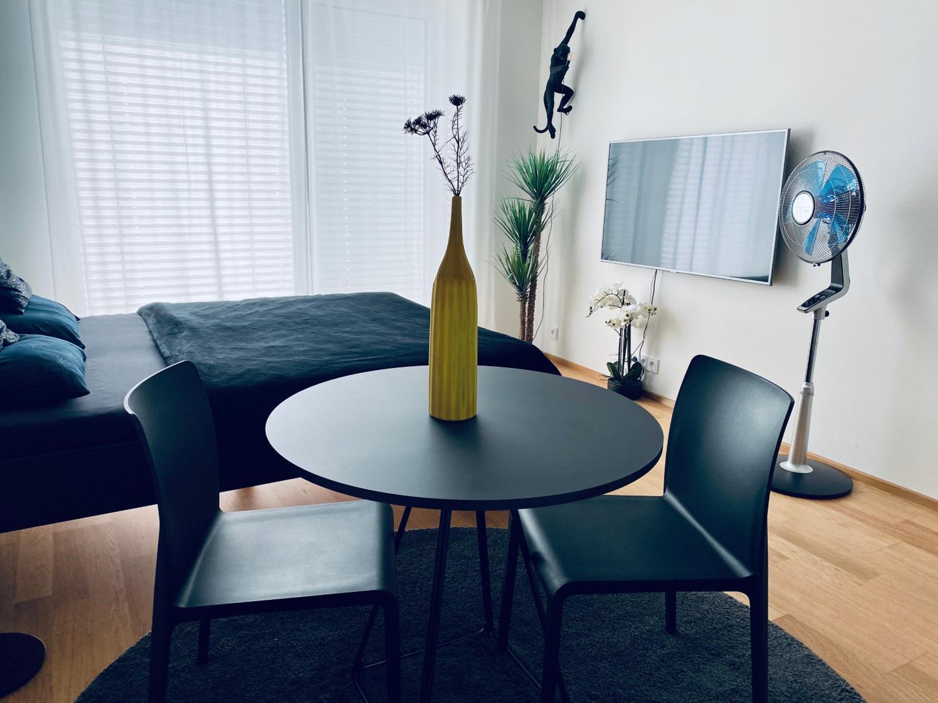 Business Apartments view 3