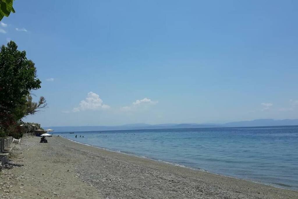 Photo 41