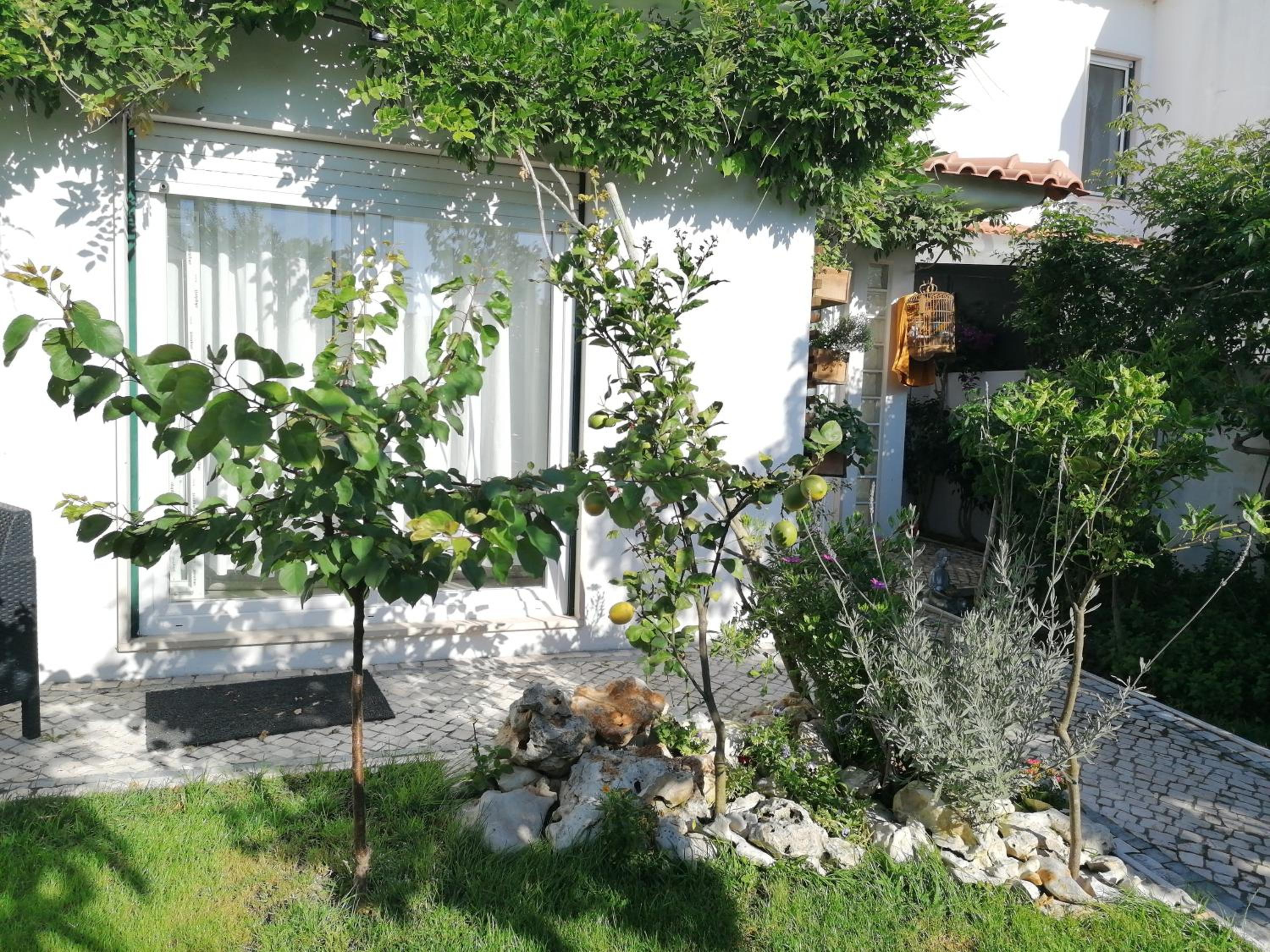 Photo 37