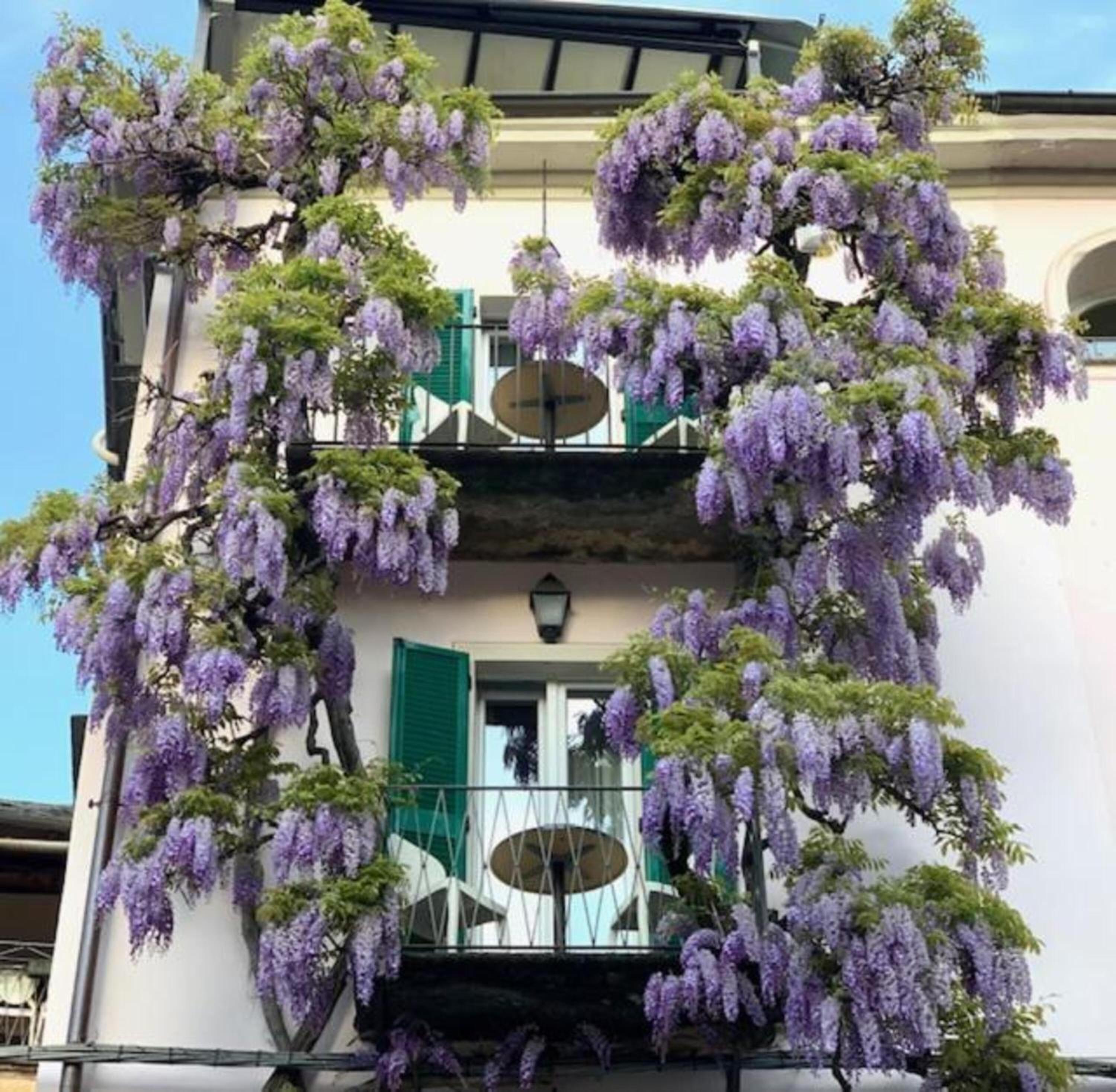 Locanda di Orta en Orta San Giulio