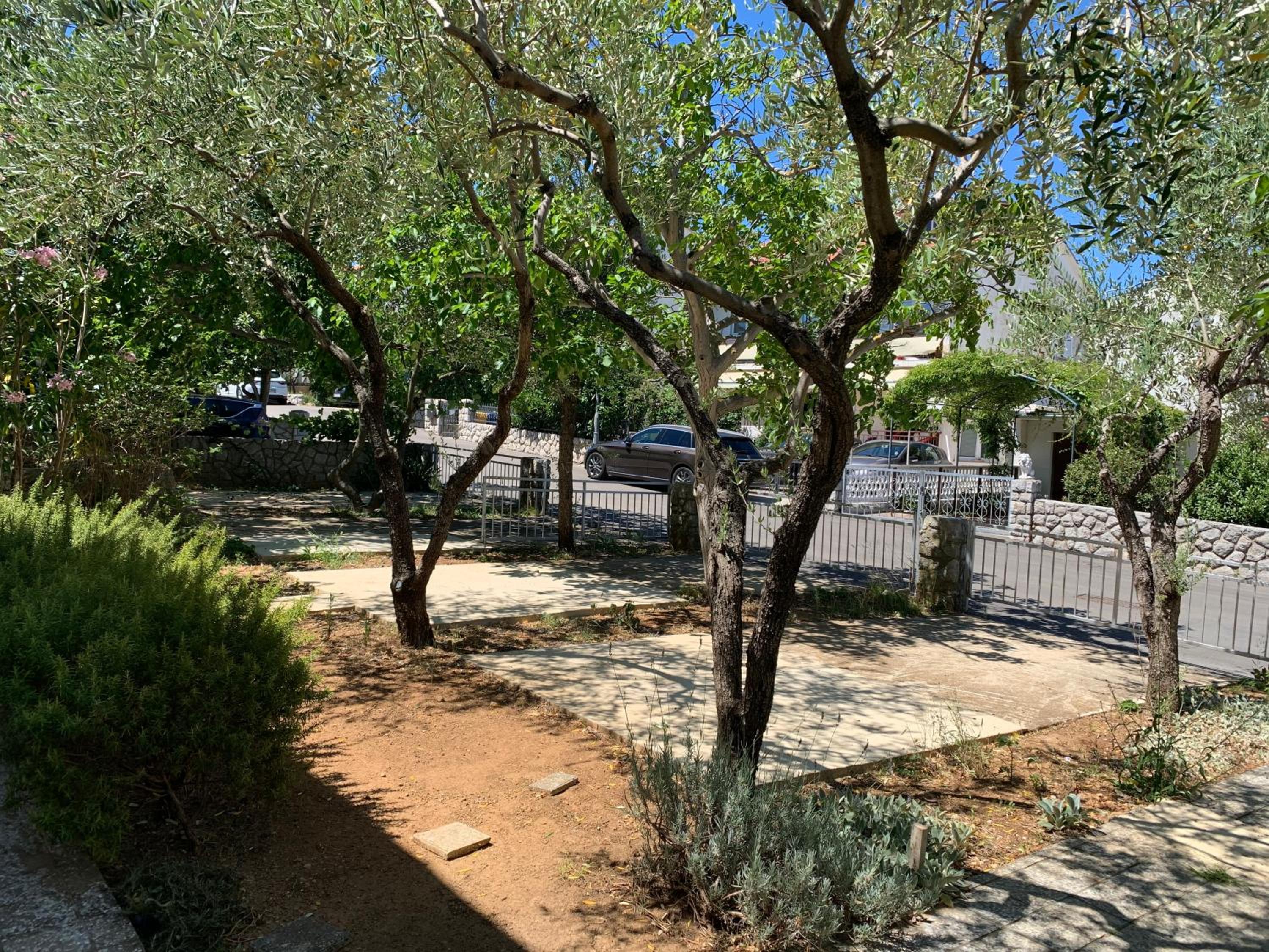 Photo 43