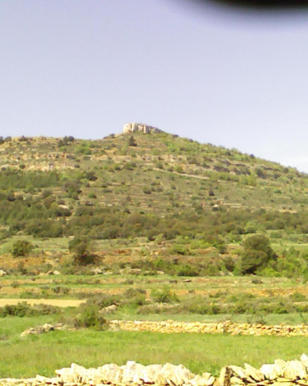 Photo 46