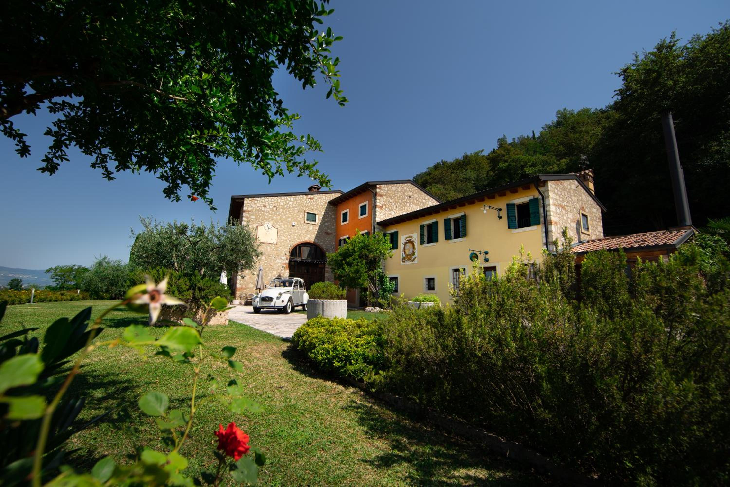 Villa Vitis view 4