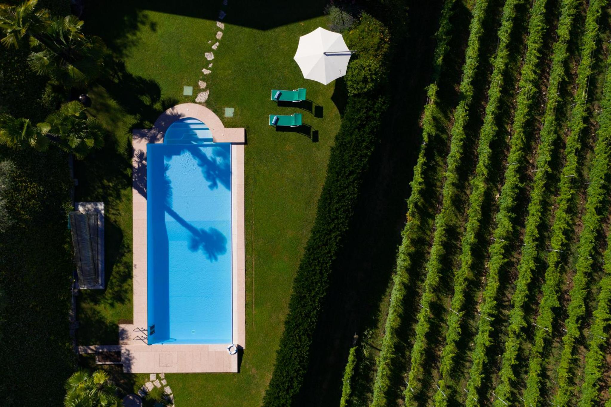 Villa Vitis view 3