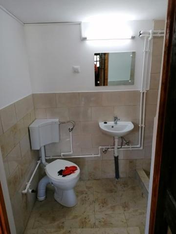 Photo 49
