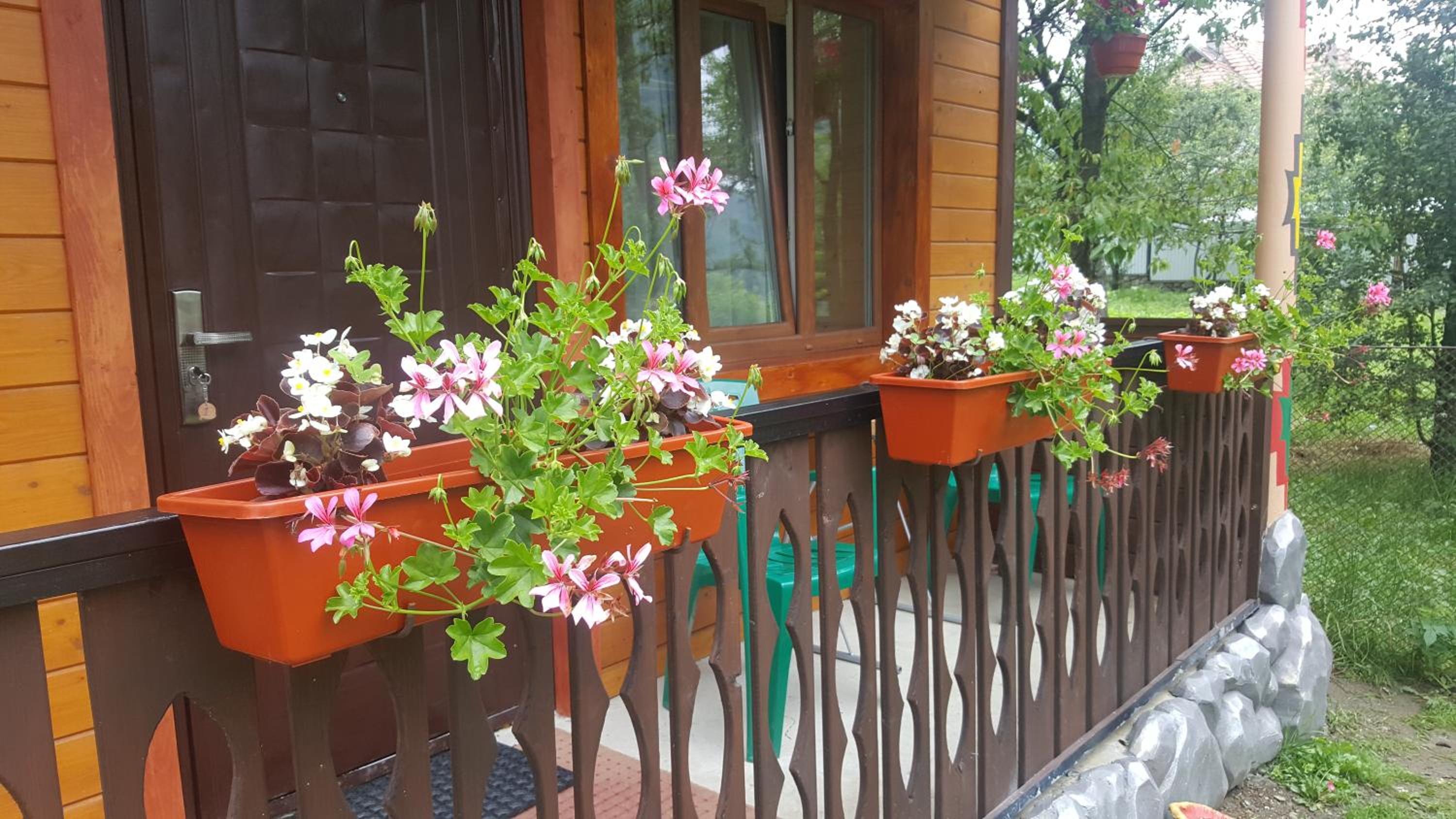 Садиба Гуцулка Ксеня view 4
