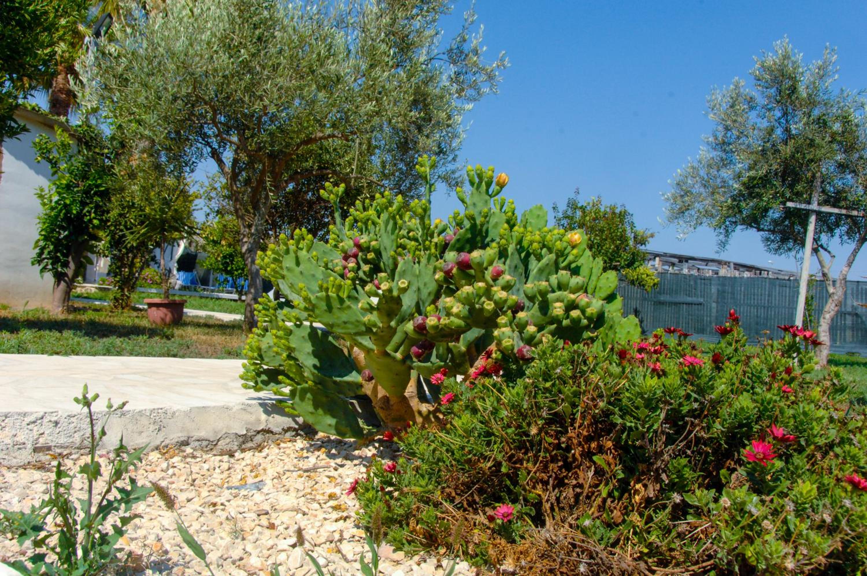 Villa Giummarito B & B