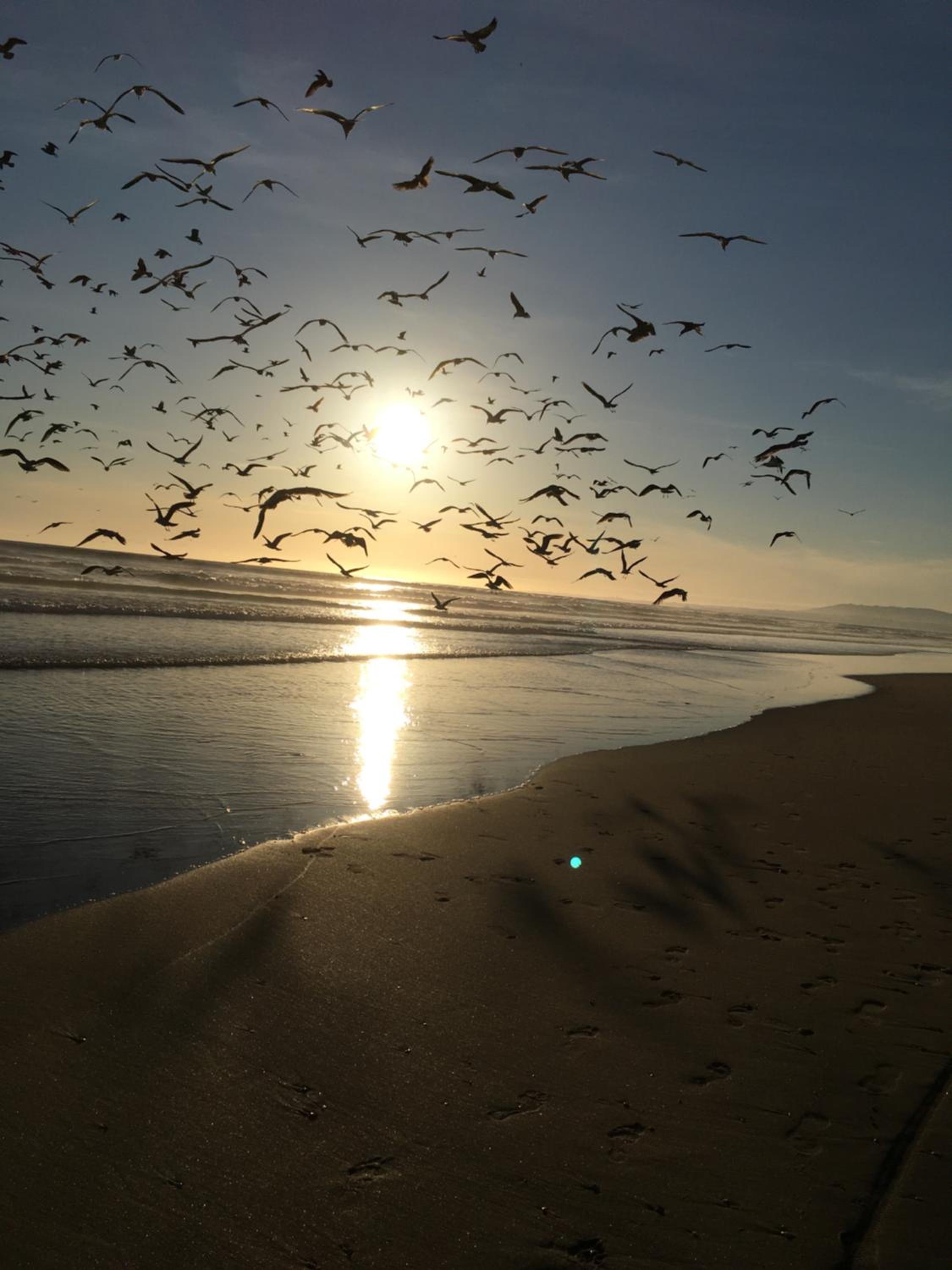 Costa de Caparica
