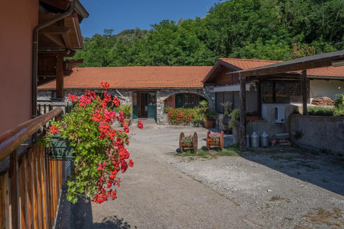 01234 - Agriturismo La Marpea, esperienza in mezzo alla natura e al cibo tipico Italiano photo 5