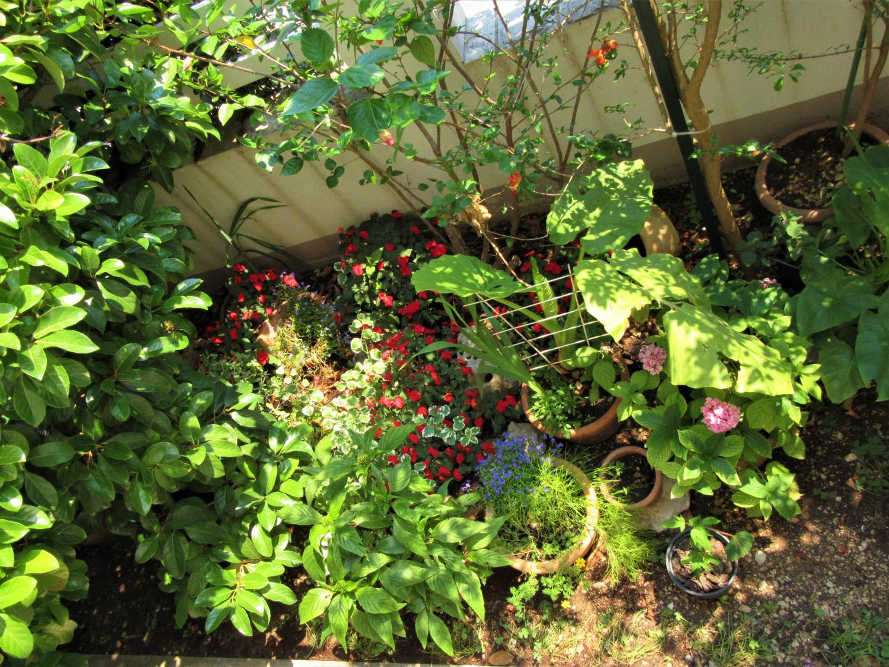 Photo 17