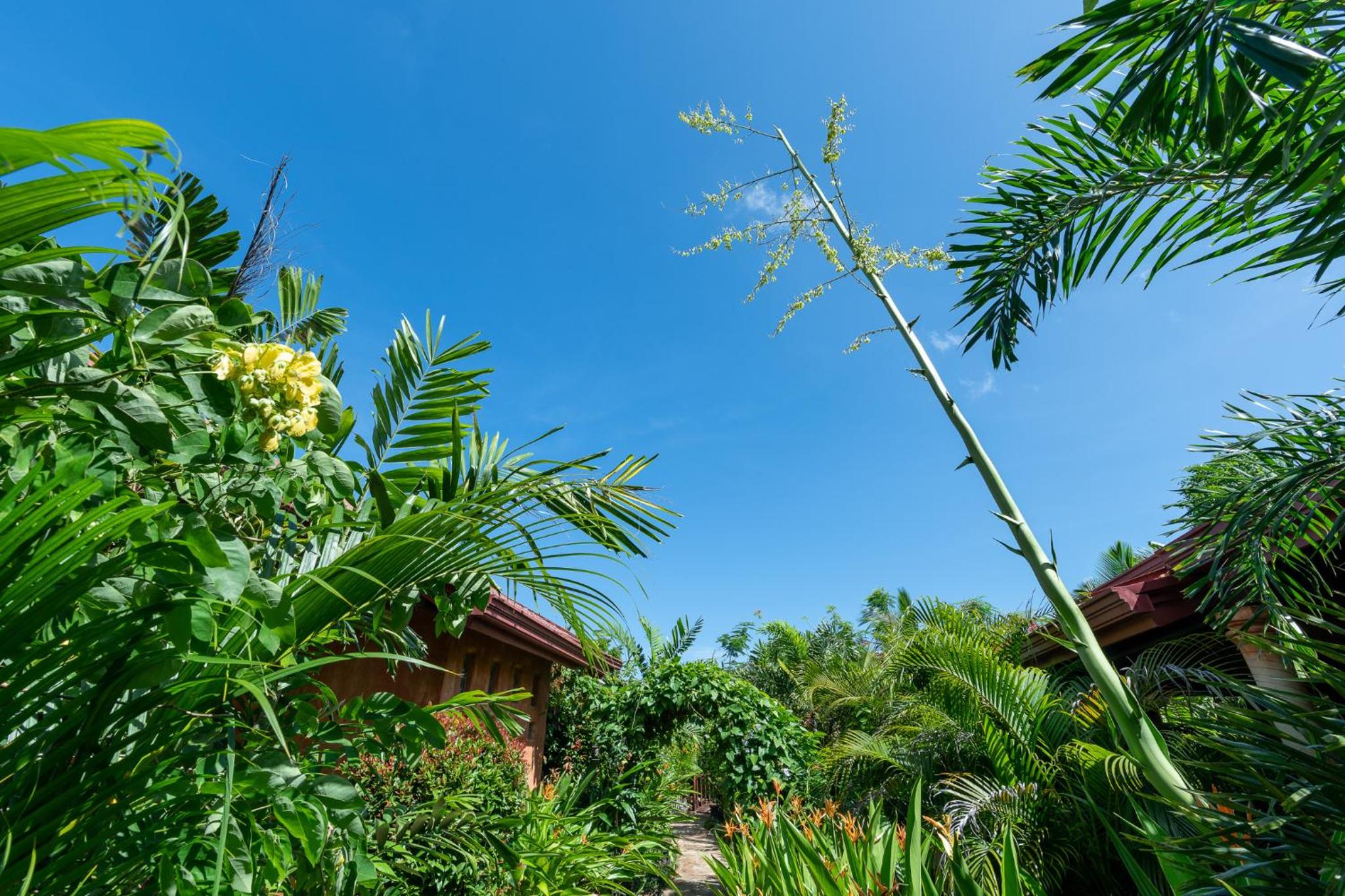 D Canal House