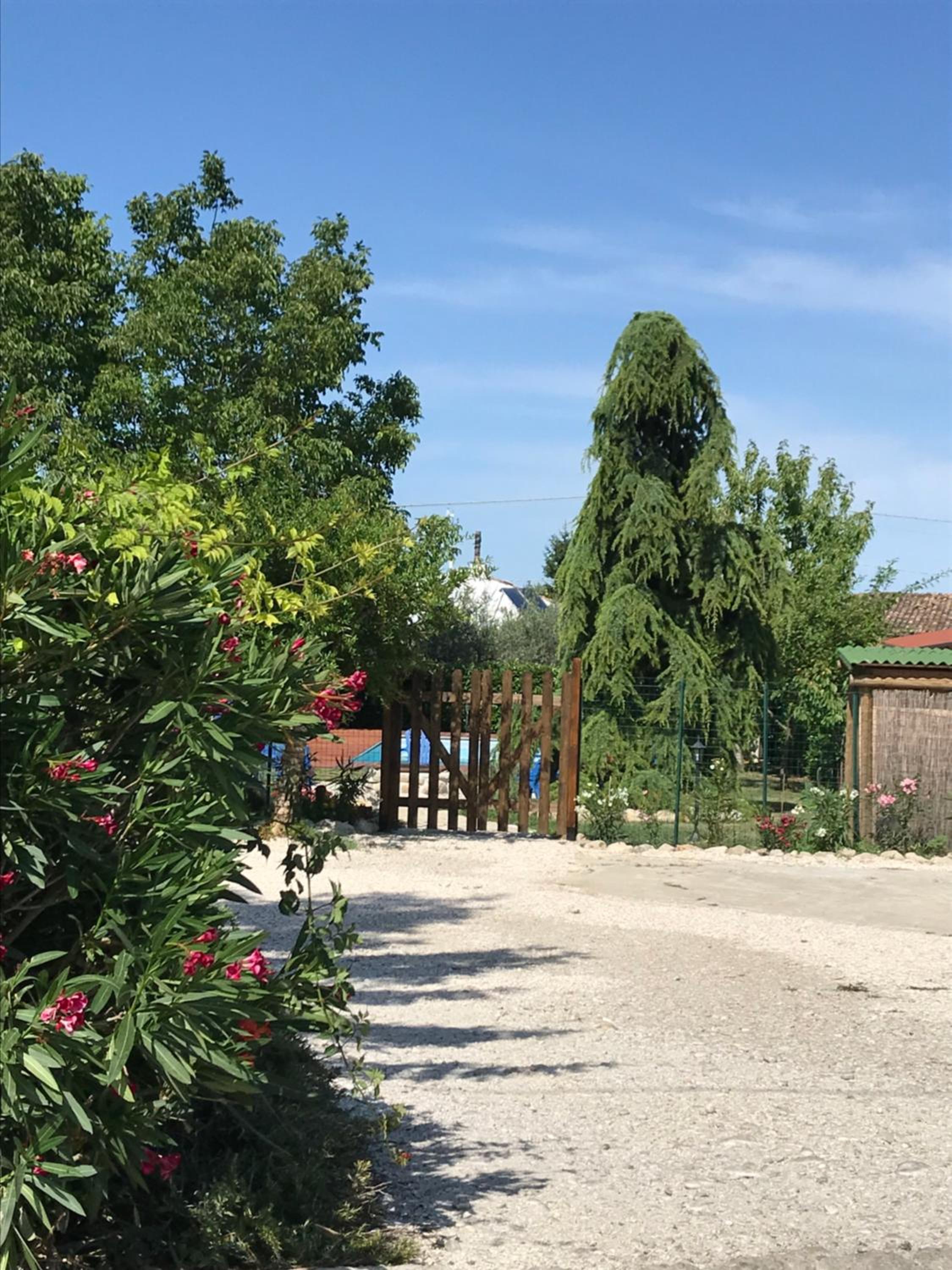 Casa Gavenniae view 4