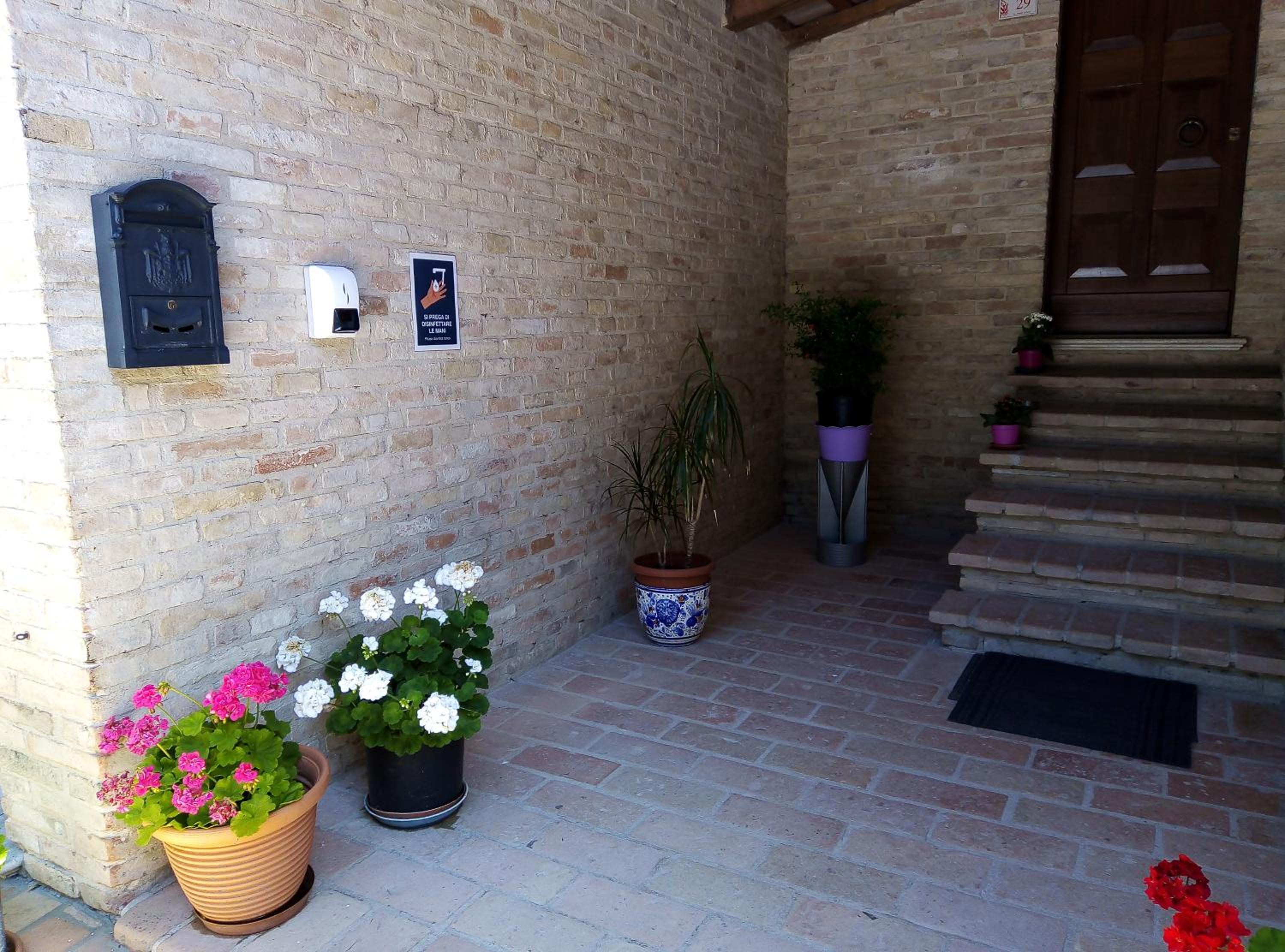 Photo 8