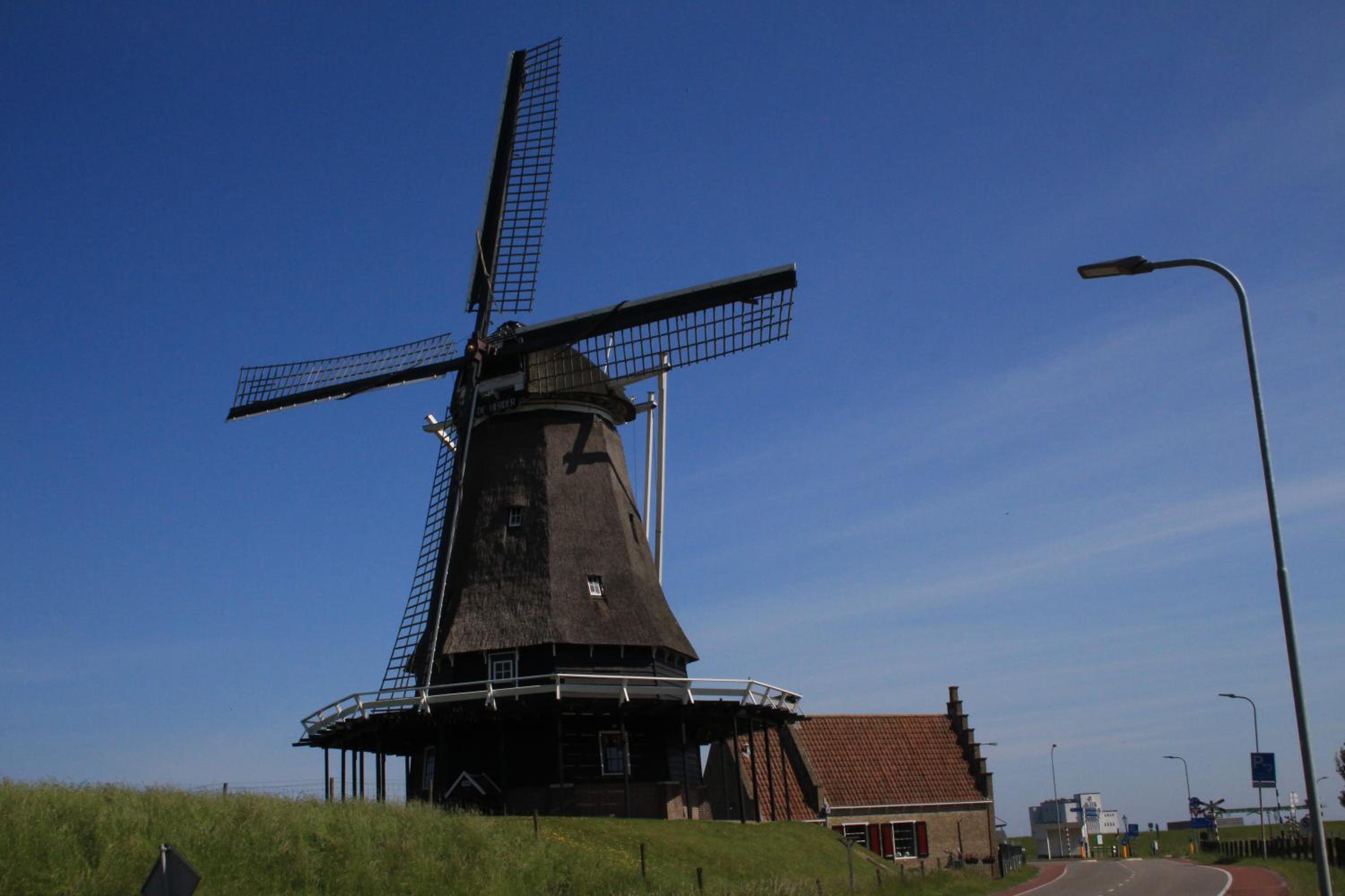 Photo 50