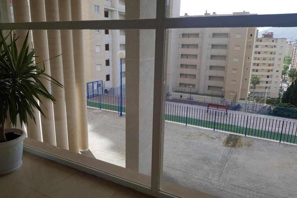 Ideal 2 view 3