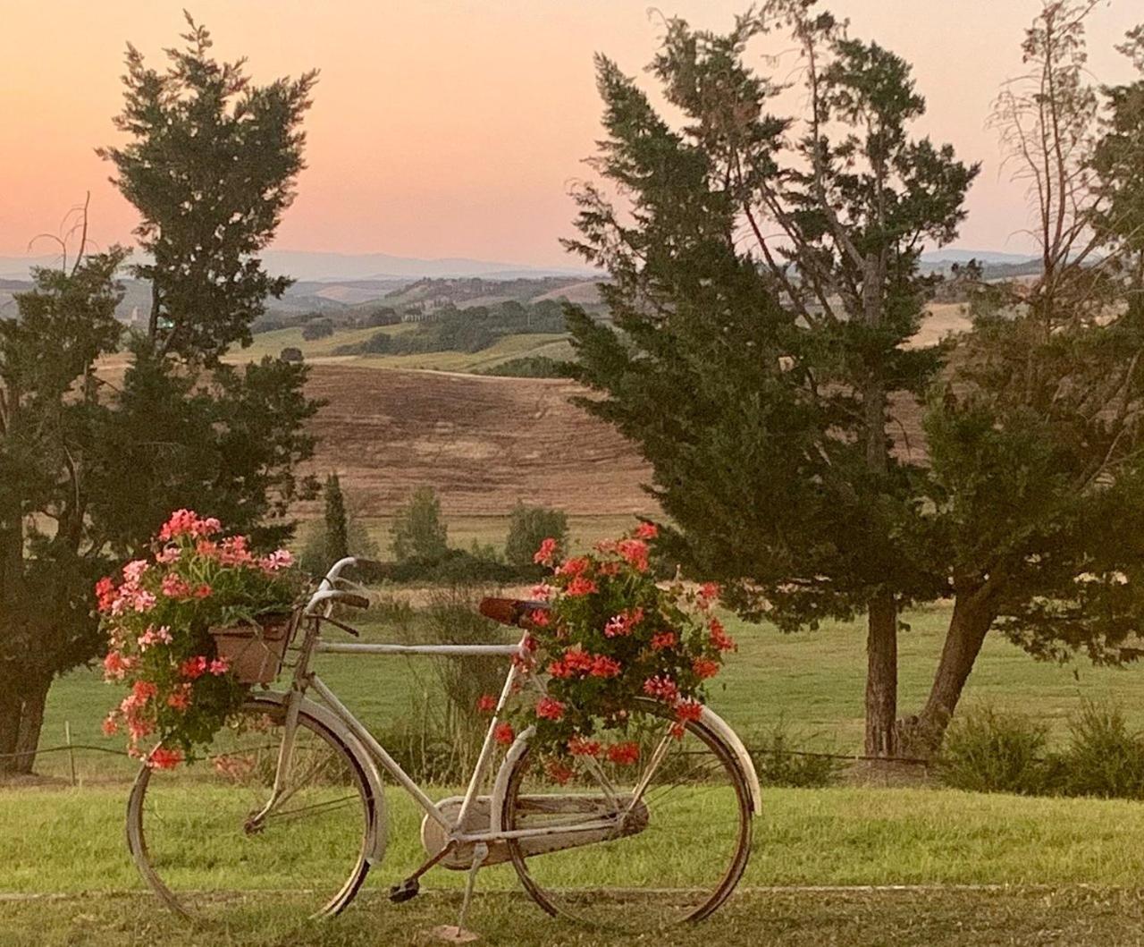 Wine Resort Colsereno