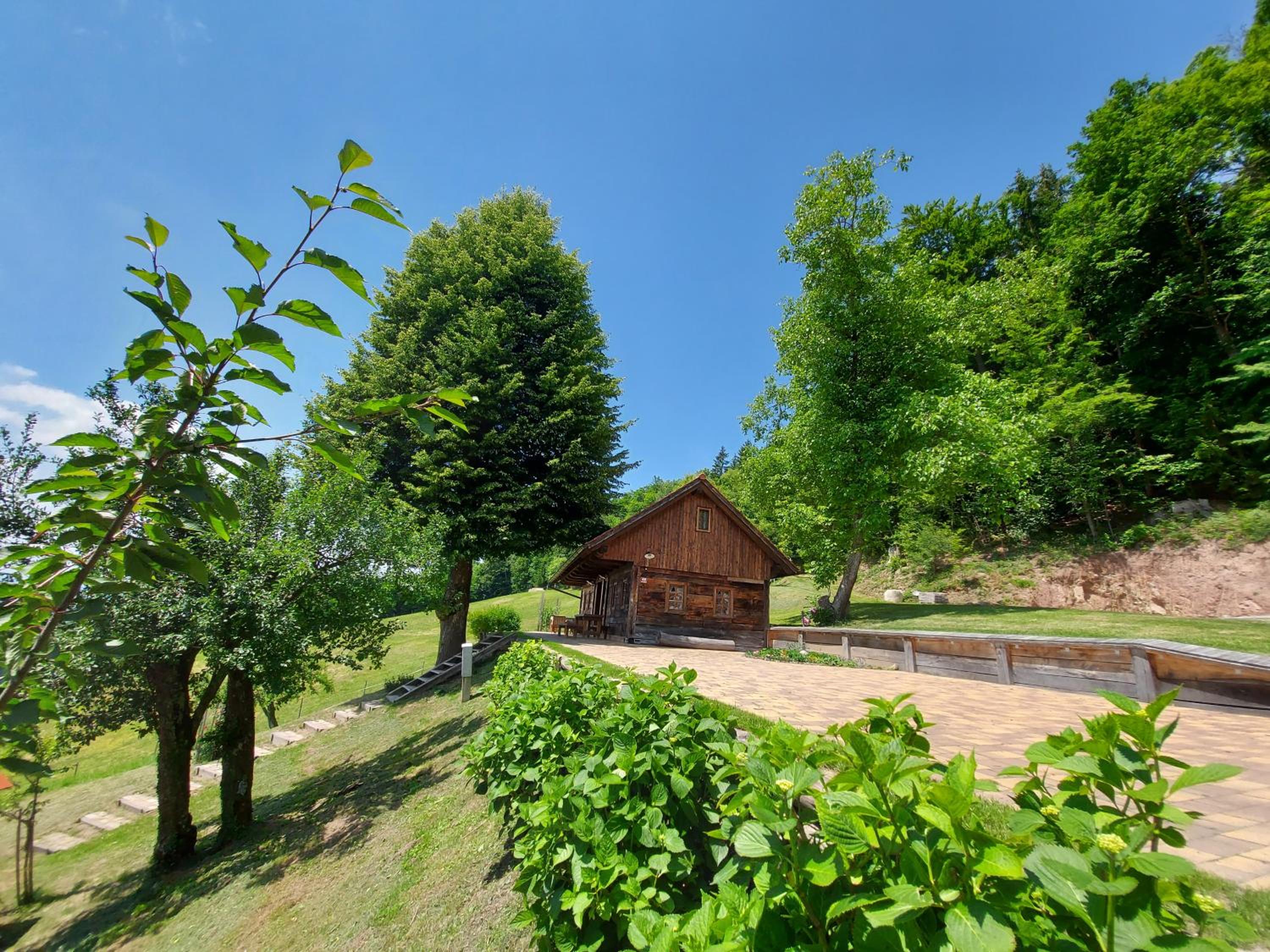Oldhouse Knezovo view 2