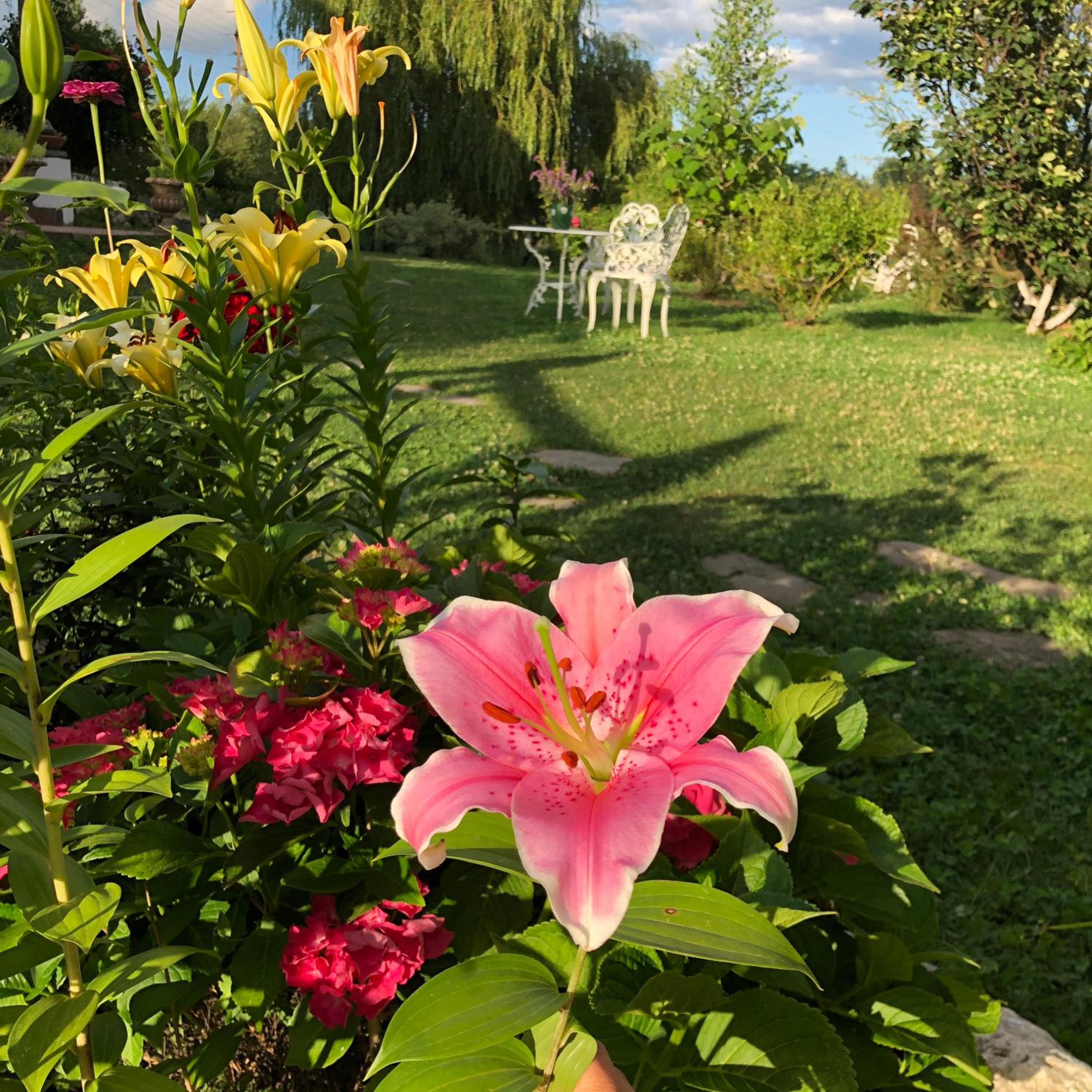 Photo 31