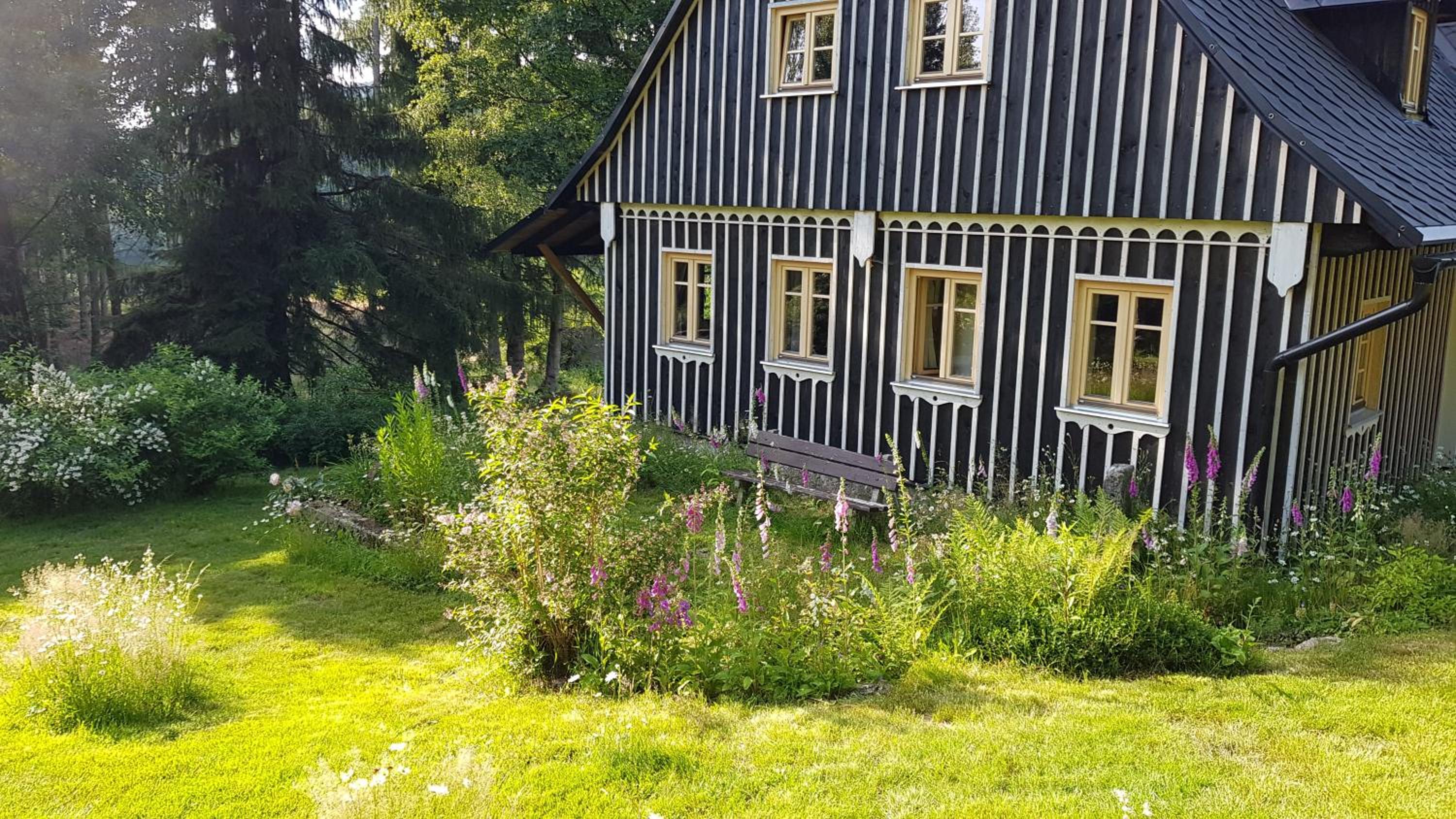 Photo 33
