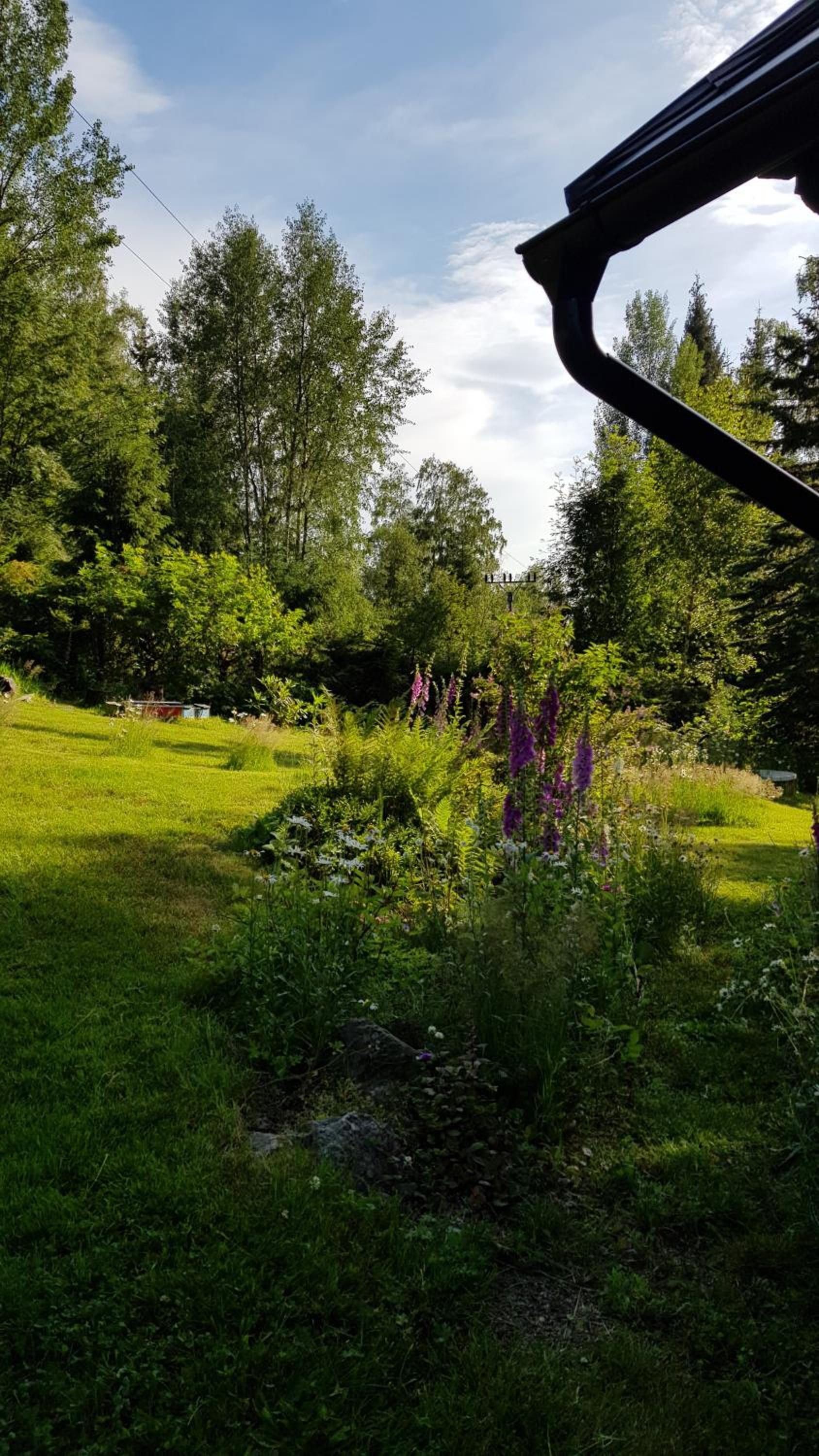Photo 49
