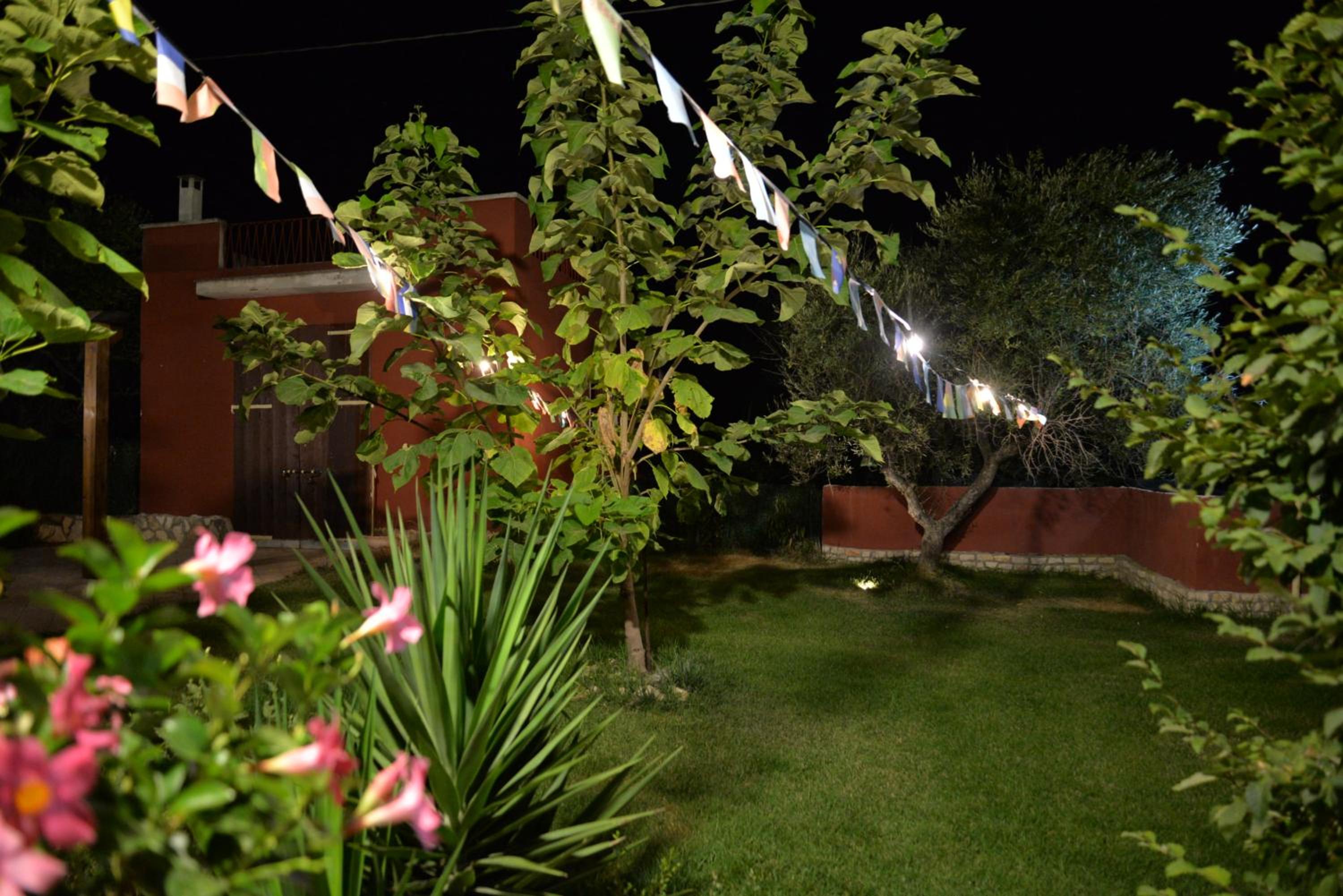 Photo 45