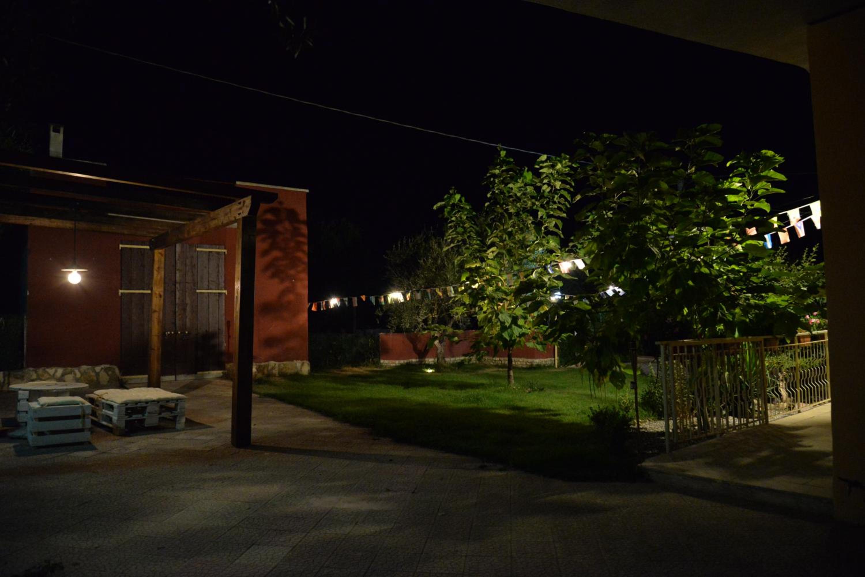 Photo 44