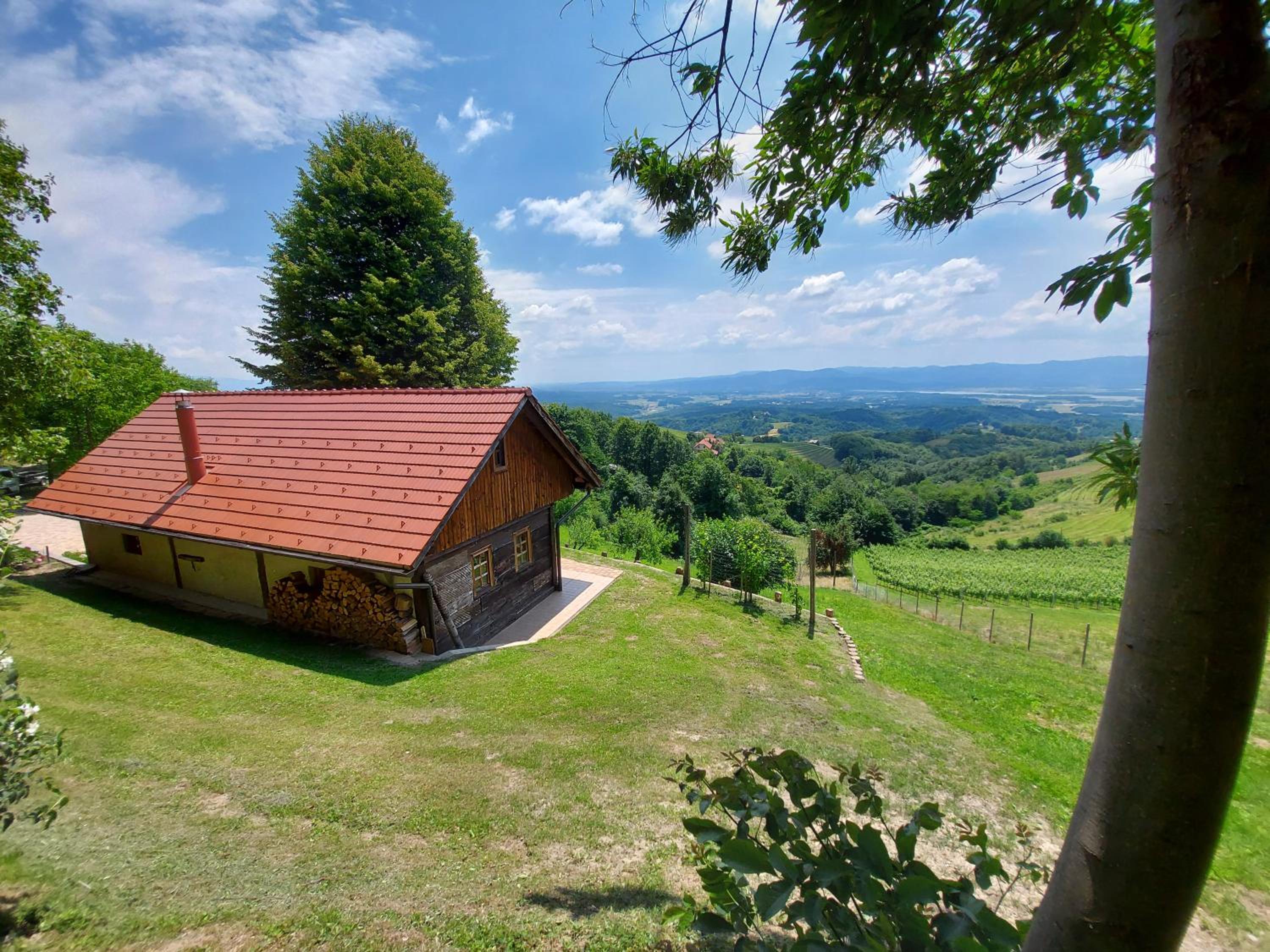 Oldhouse Knezovo view 3