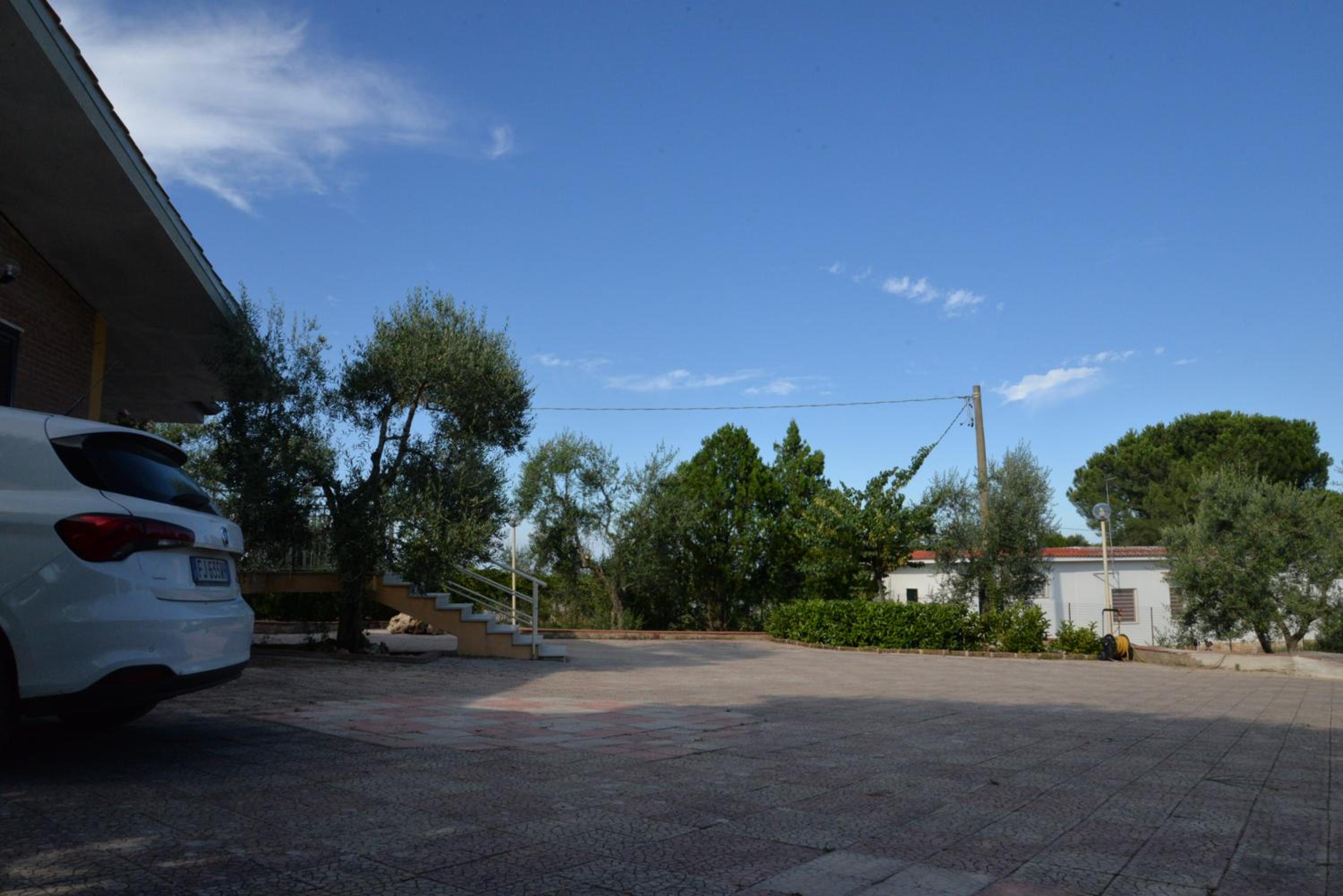 Photo 46