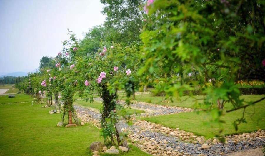 FLAMINGOS DAI LAI RESORT - luxury view 2