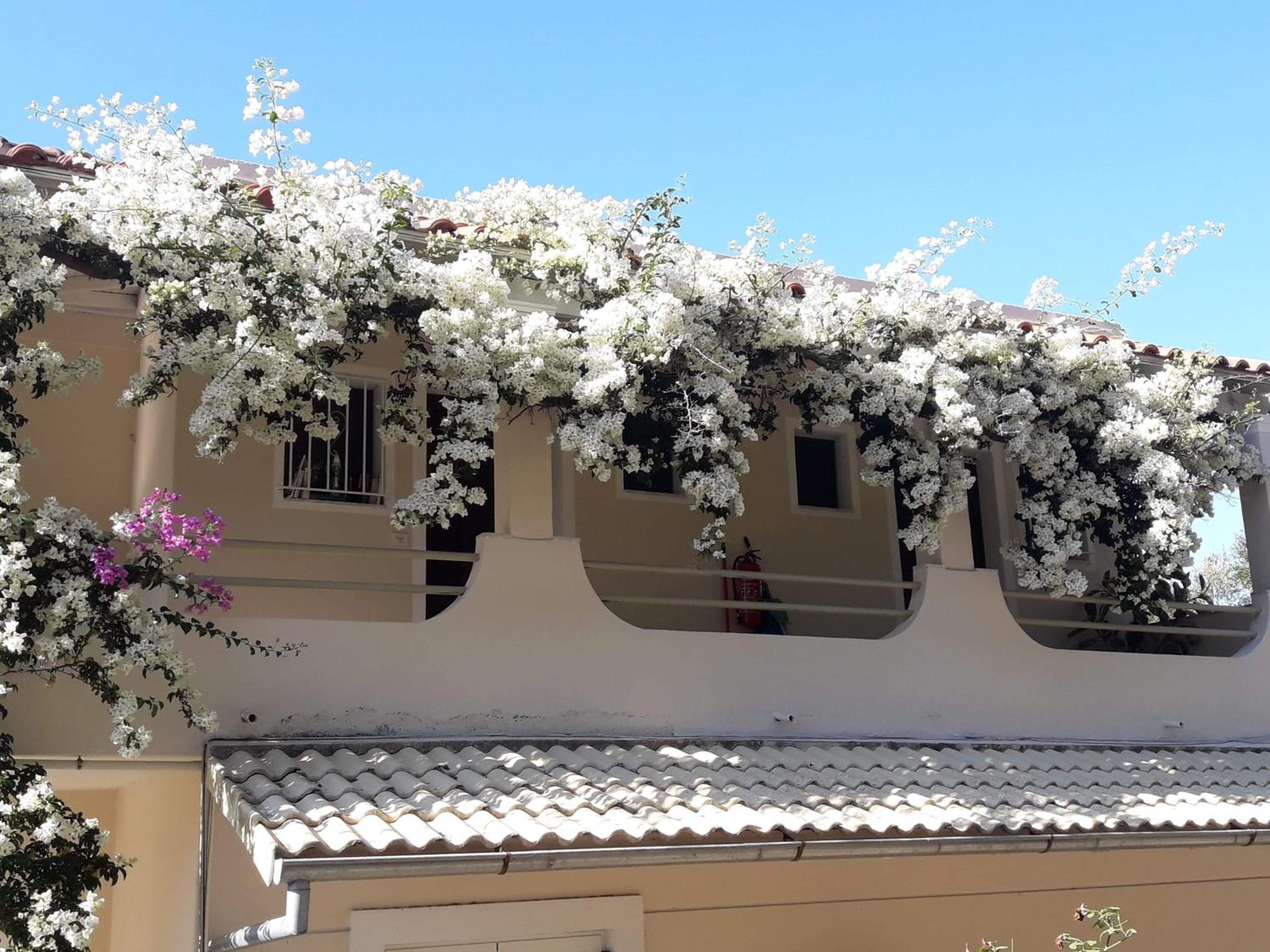 Makis Apartments
