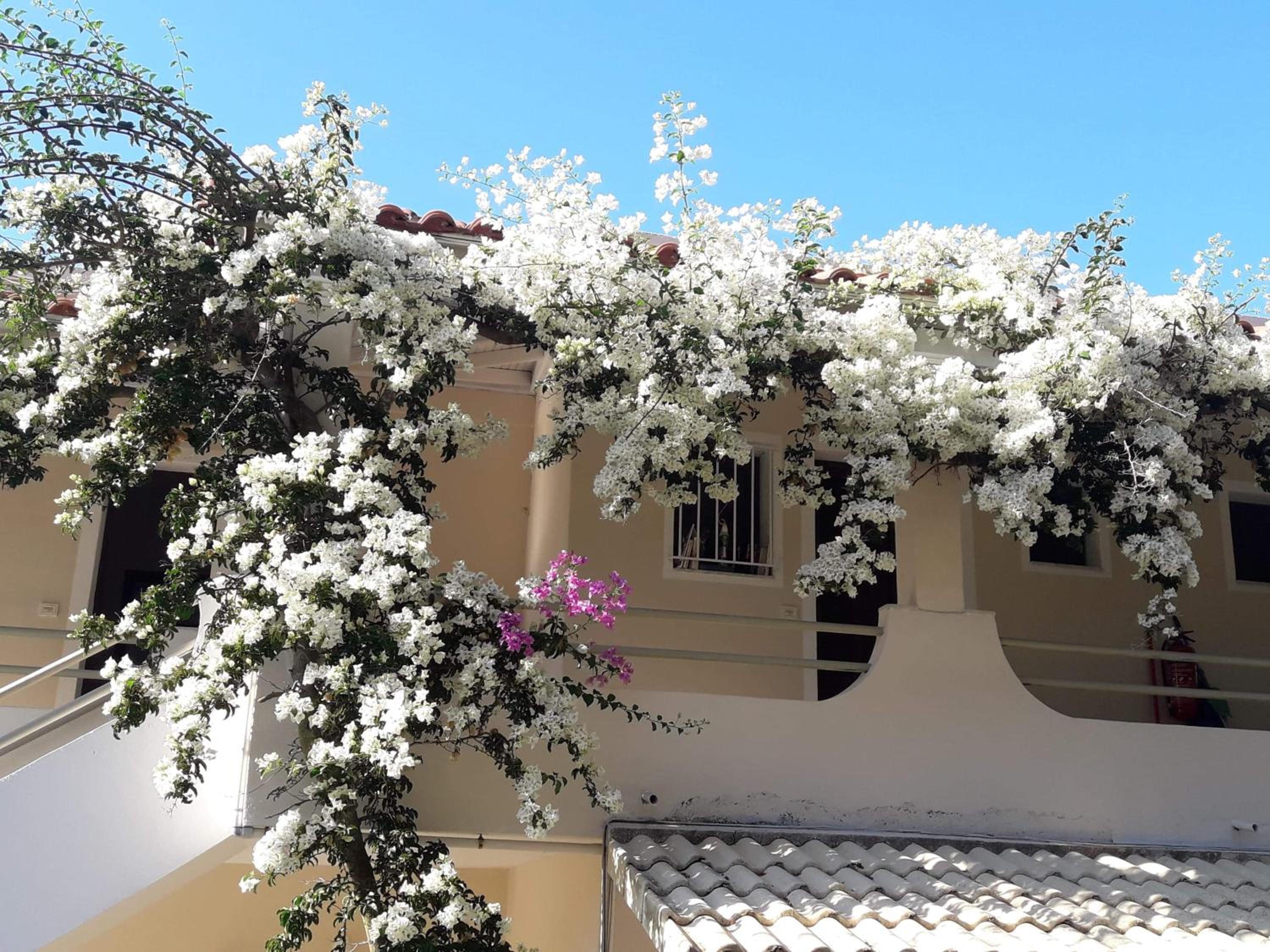 Makis Apartments