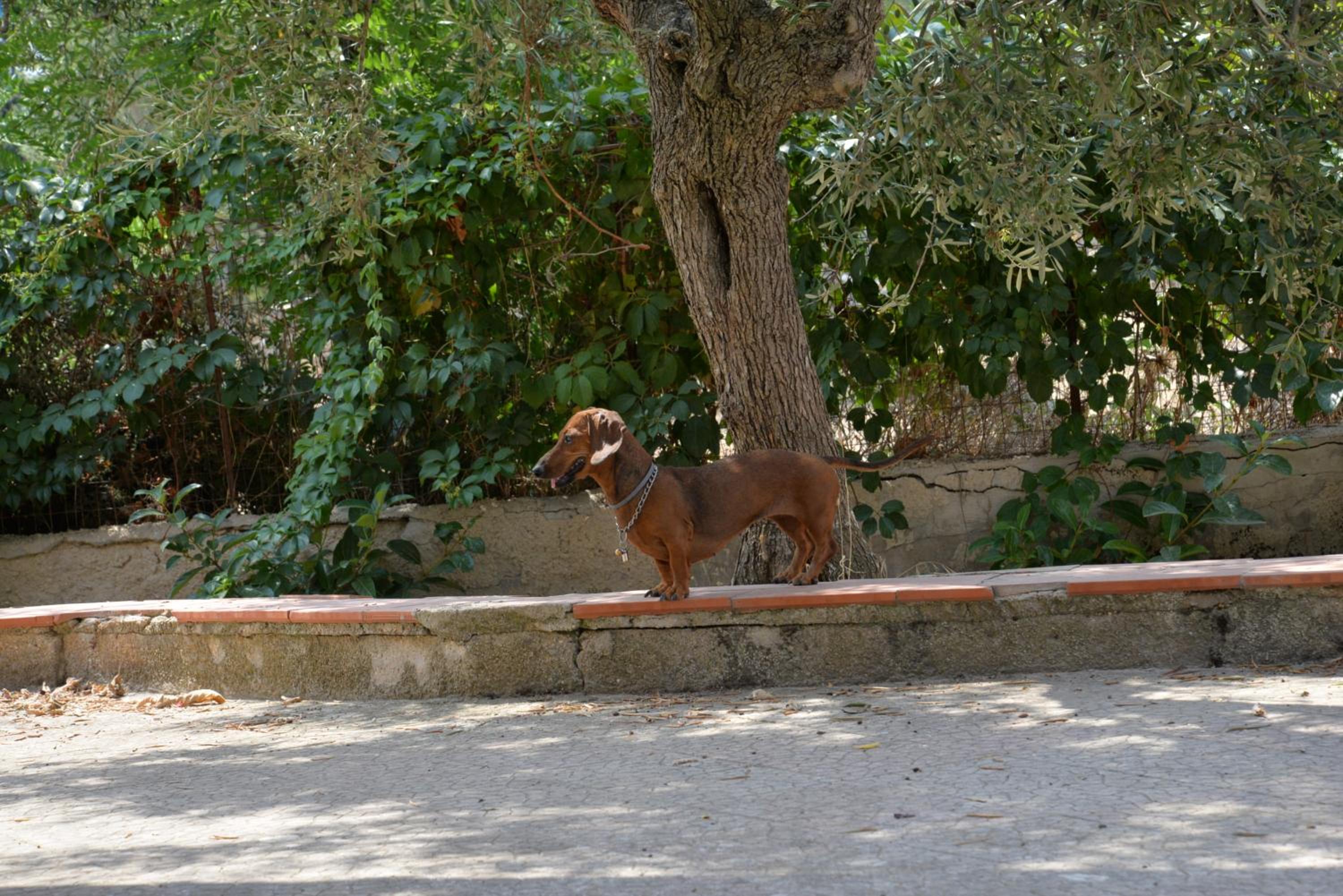 Photo 48