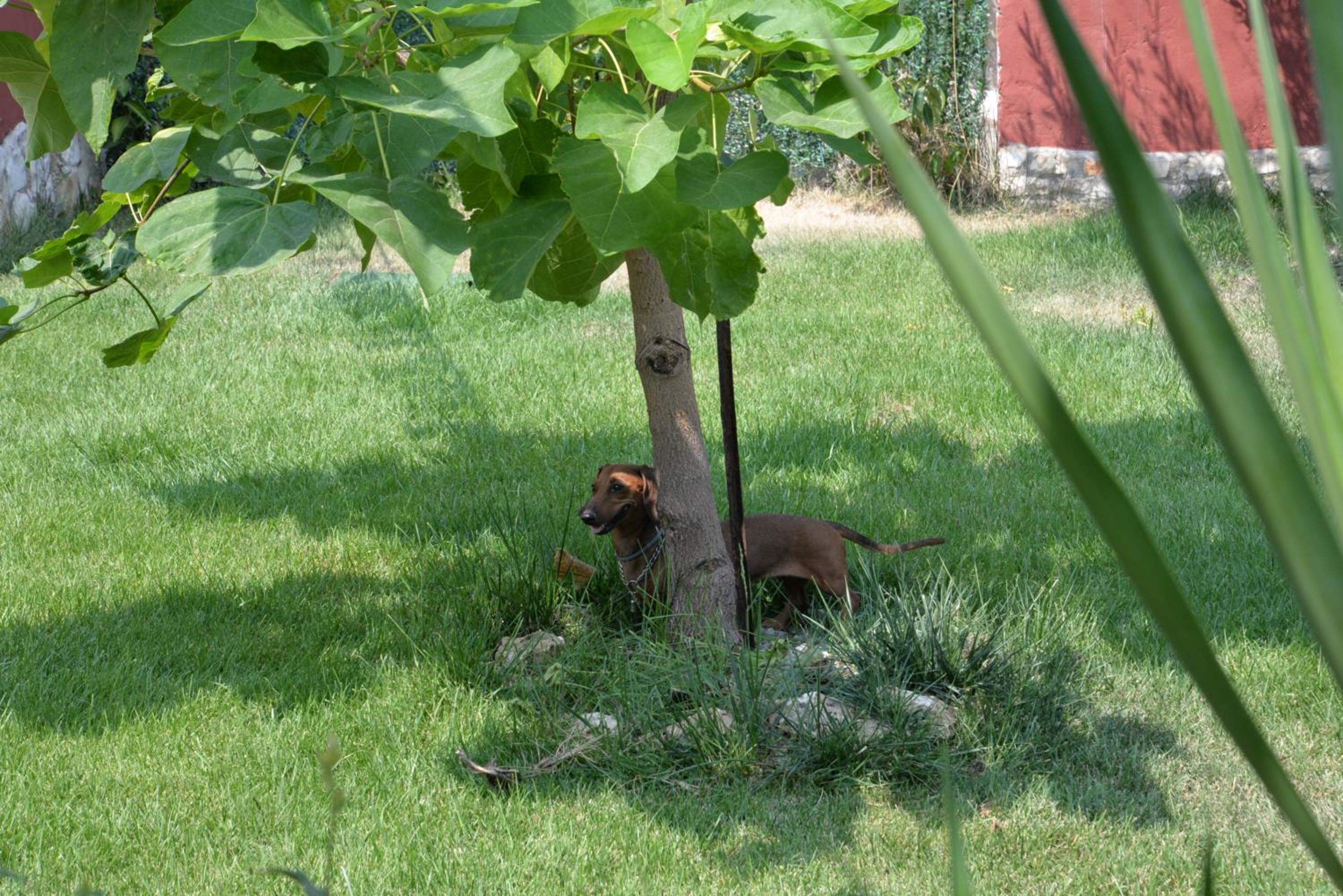 Photo 47
