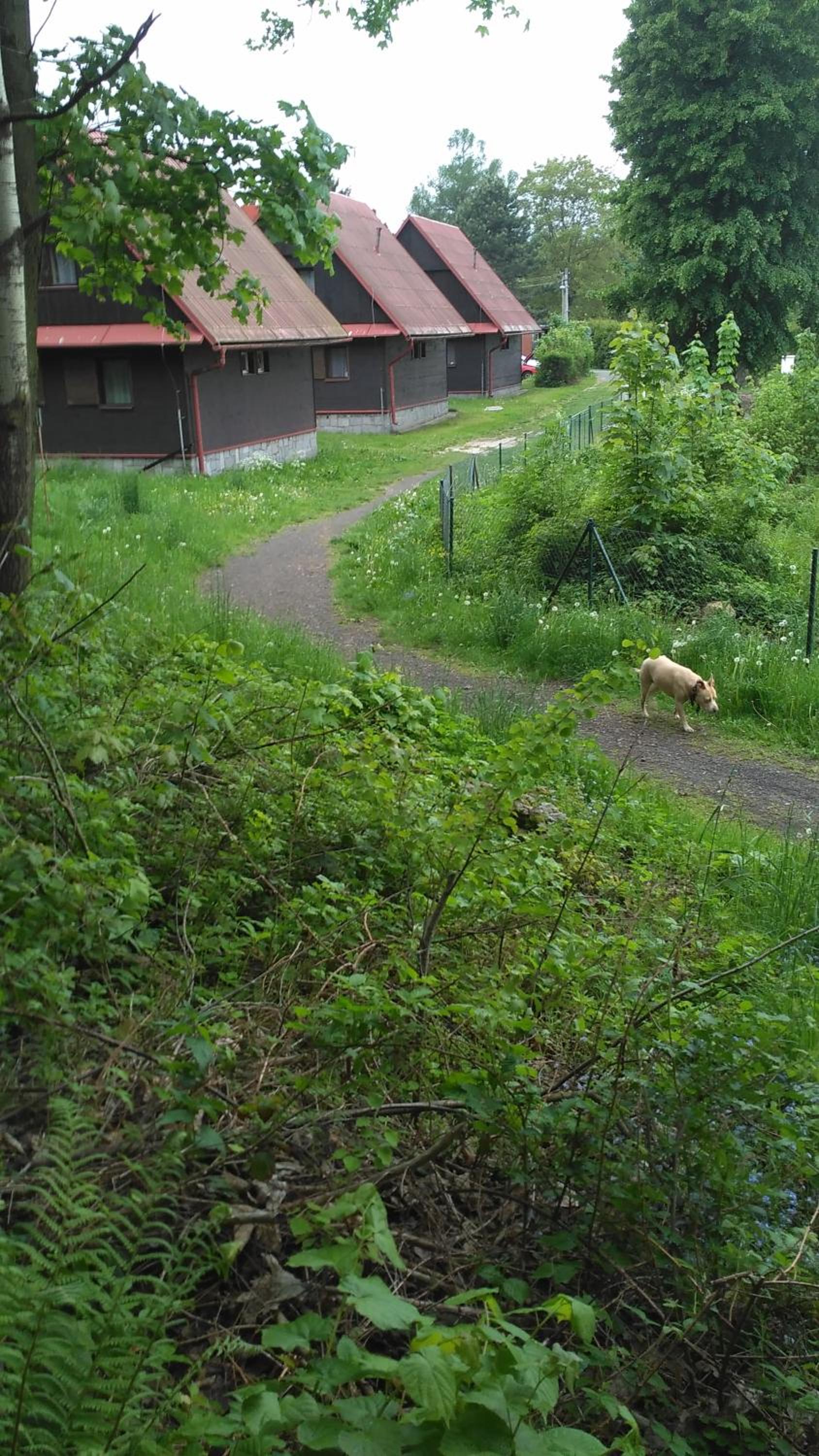Photo 12