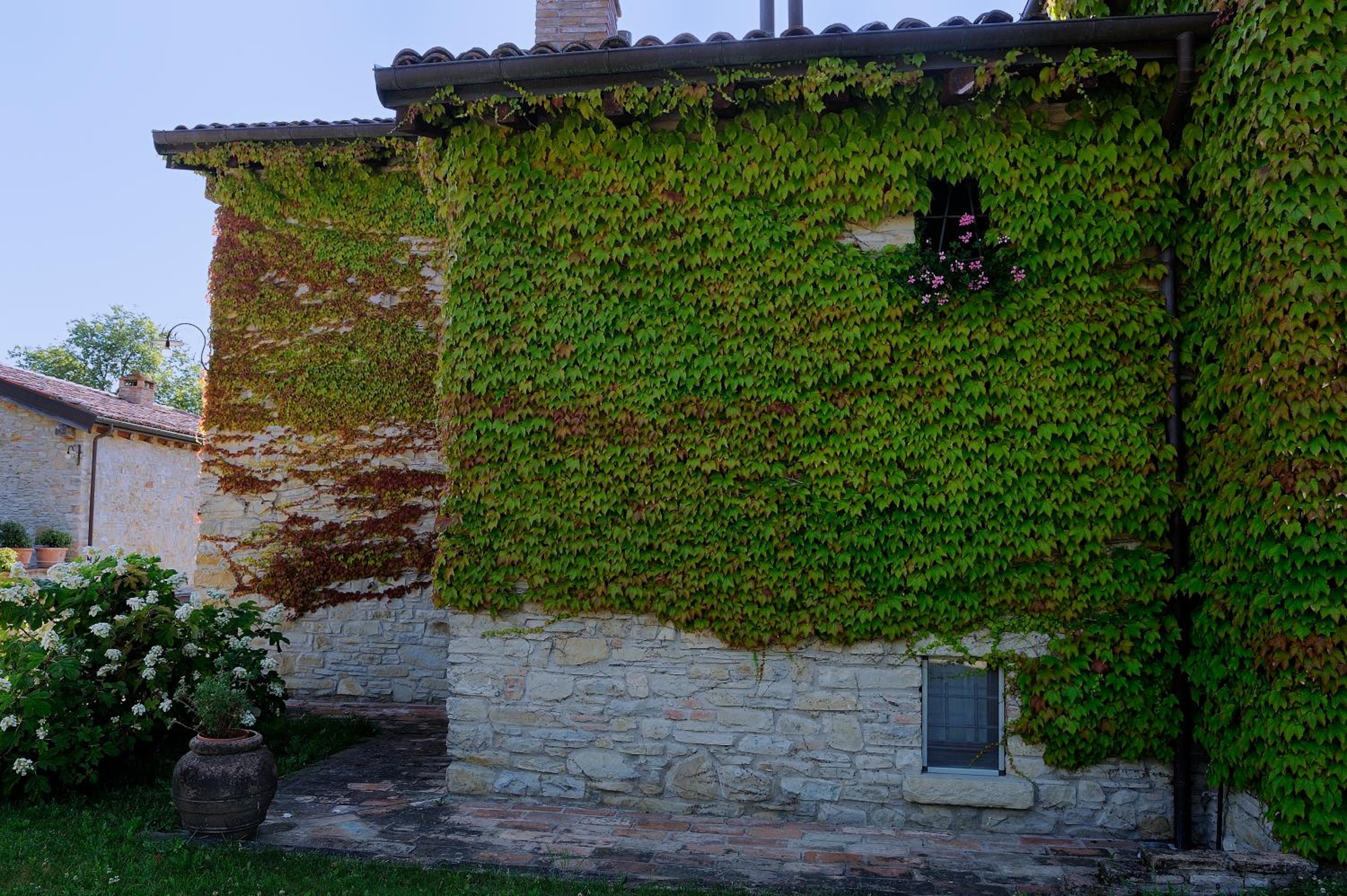 Photo 35