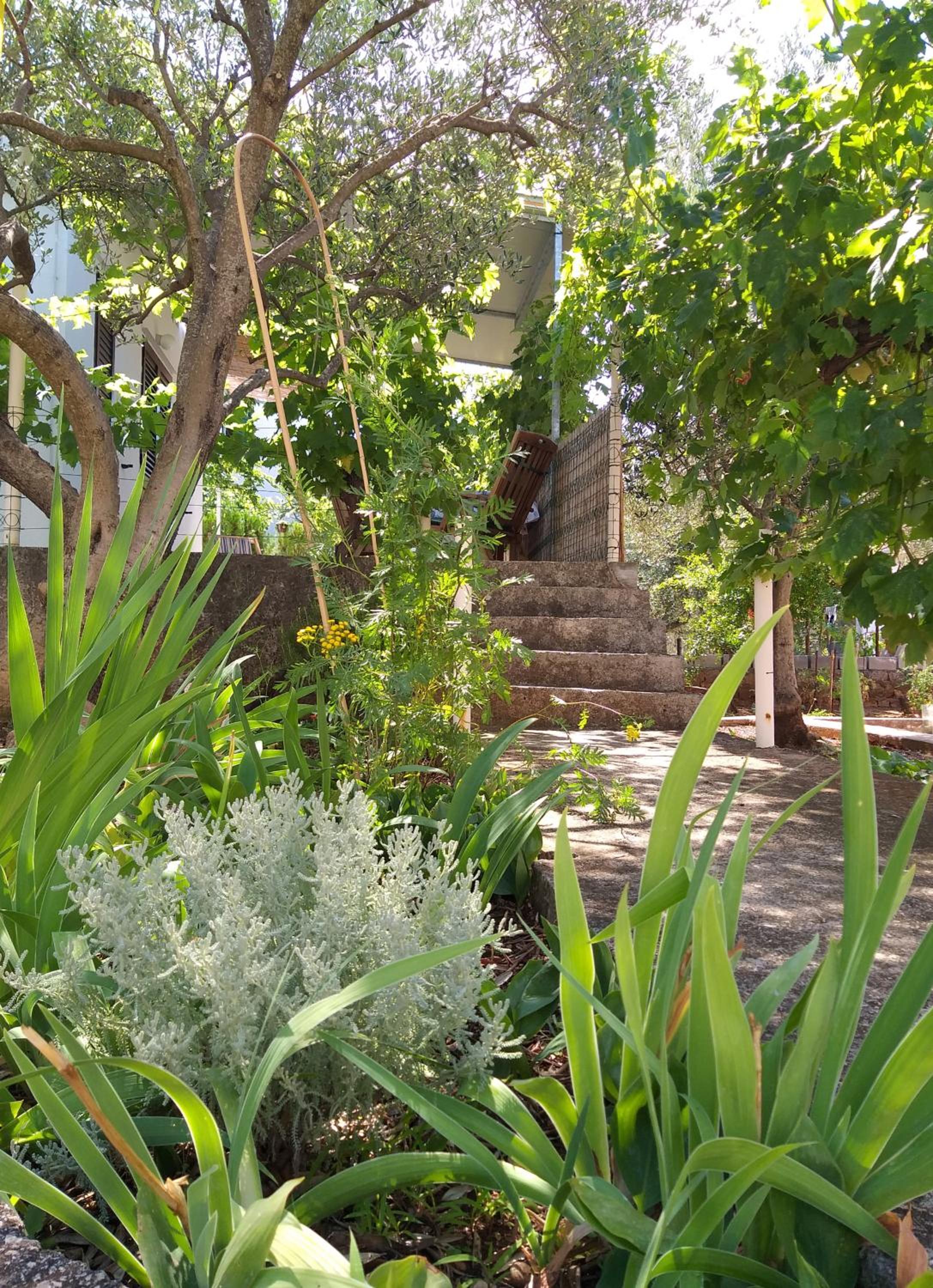 Photo 24