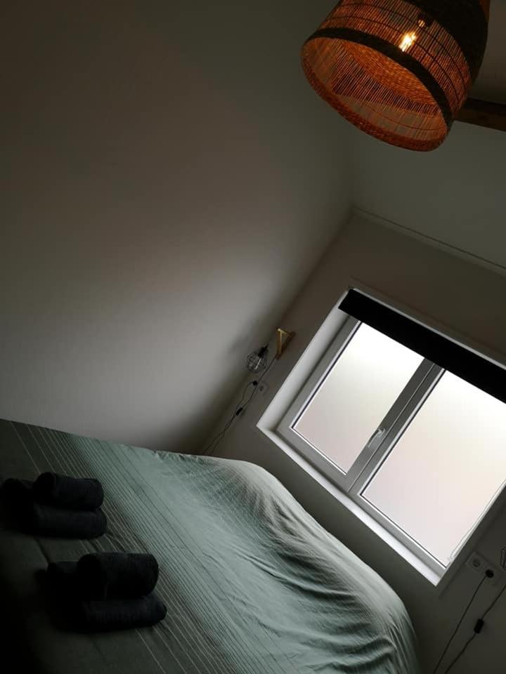 Studio Zwin 9 view 4