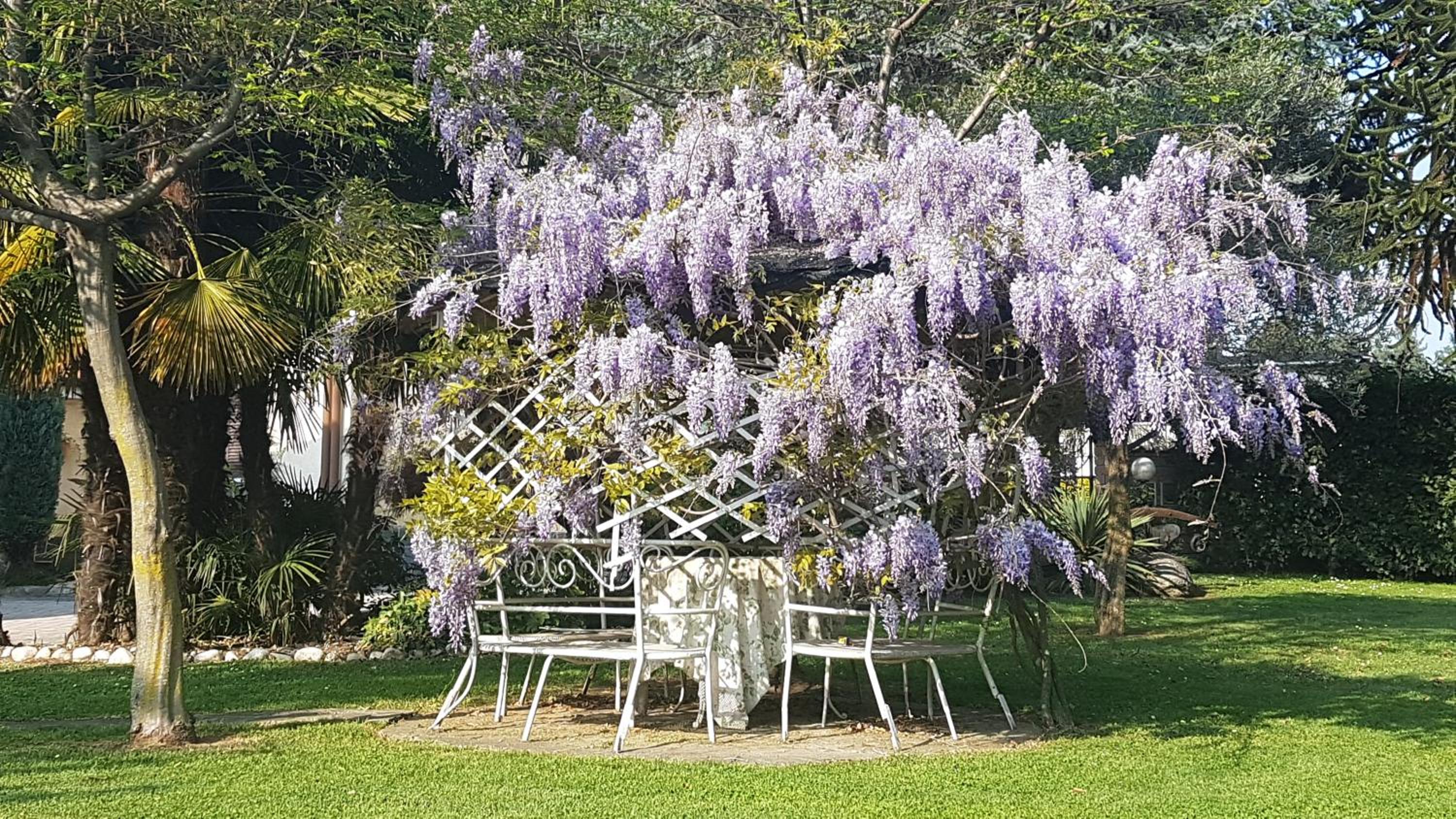 B&B Le Palme