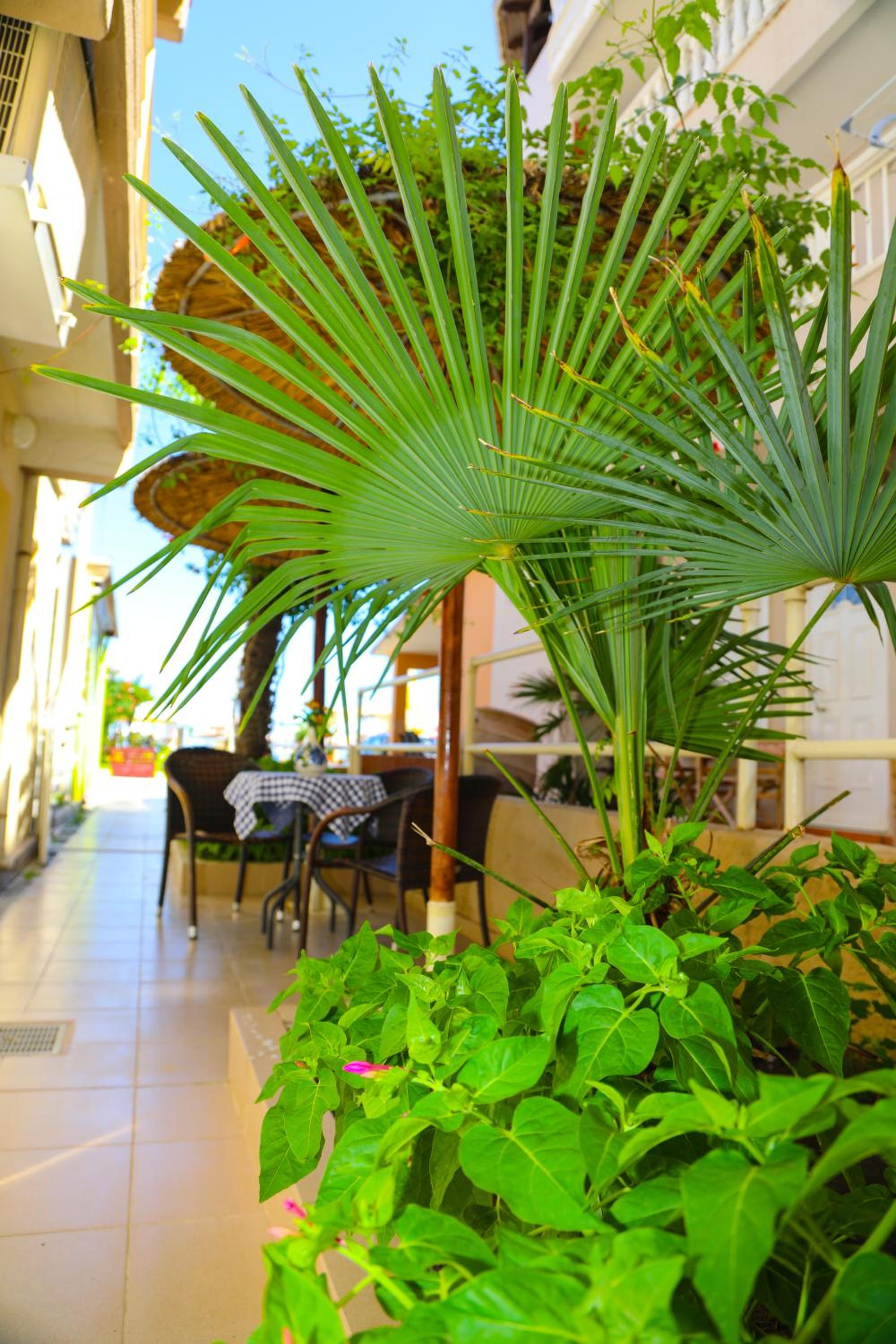restaurant